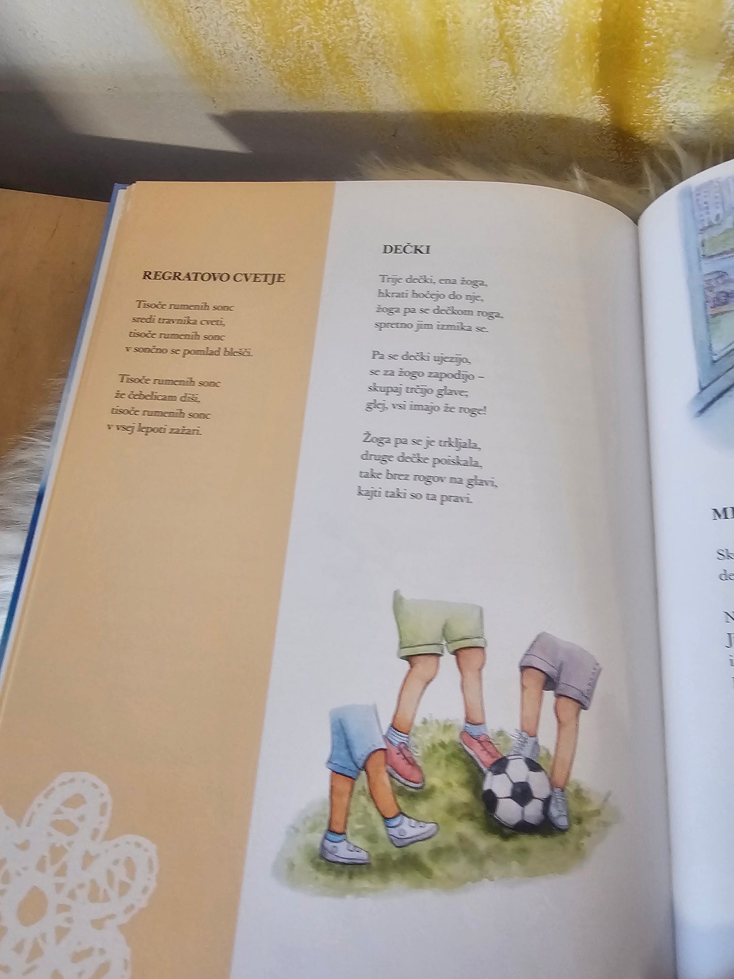 Kanglica morske pene Alenka Kokalj