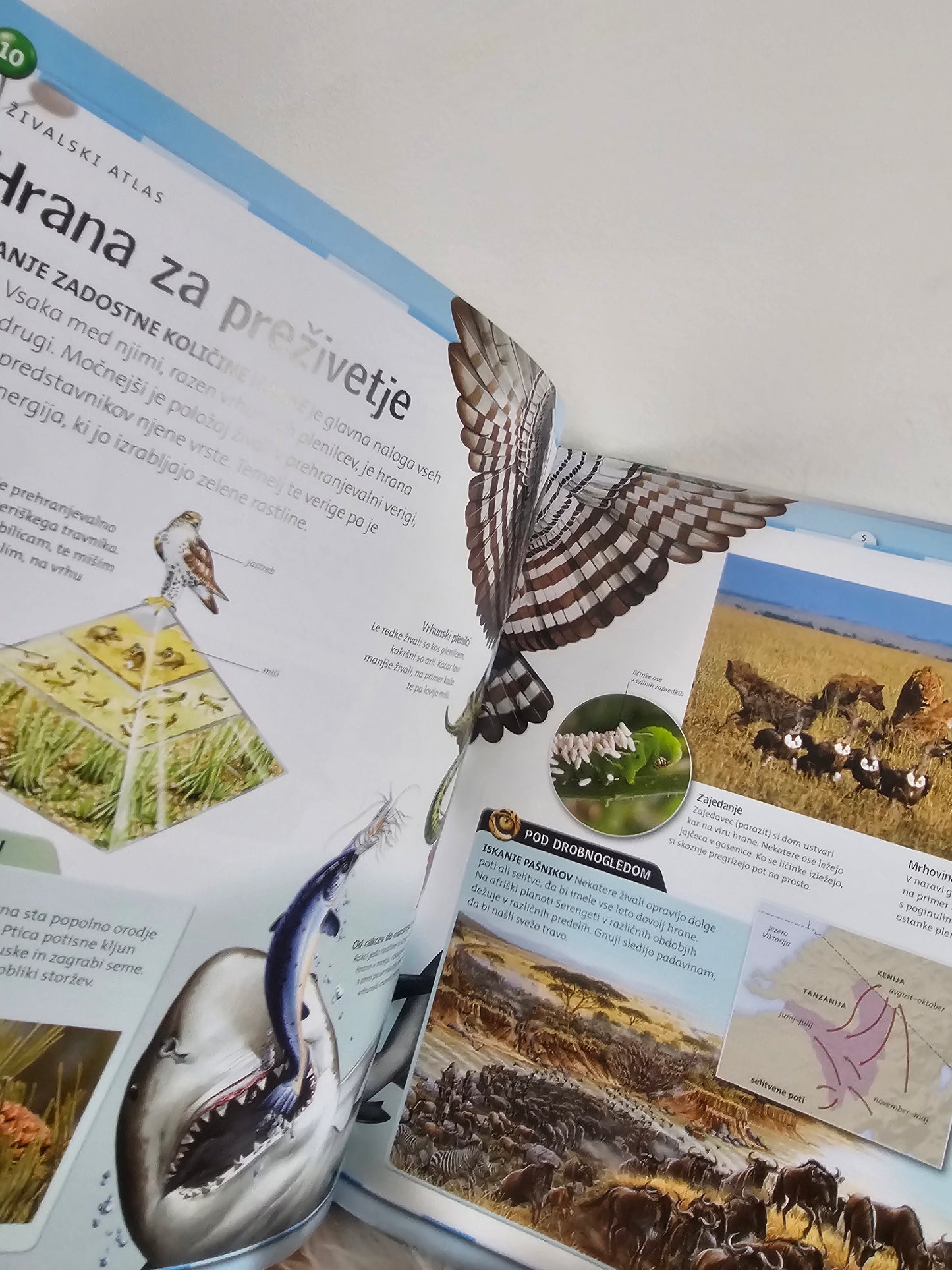 Živalski atlas Animal planet Mladinska knjiga