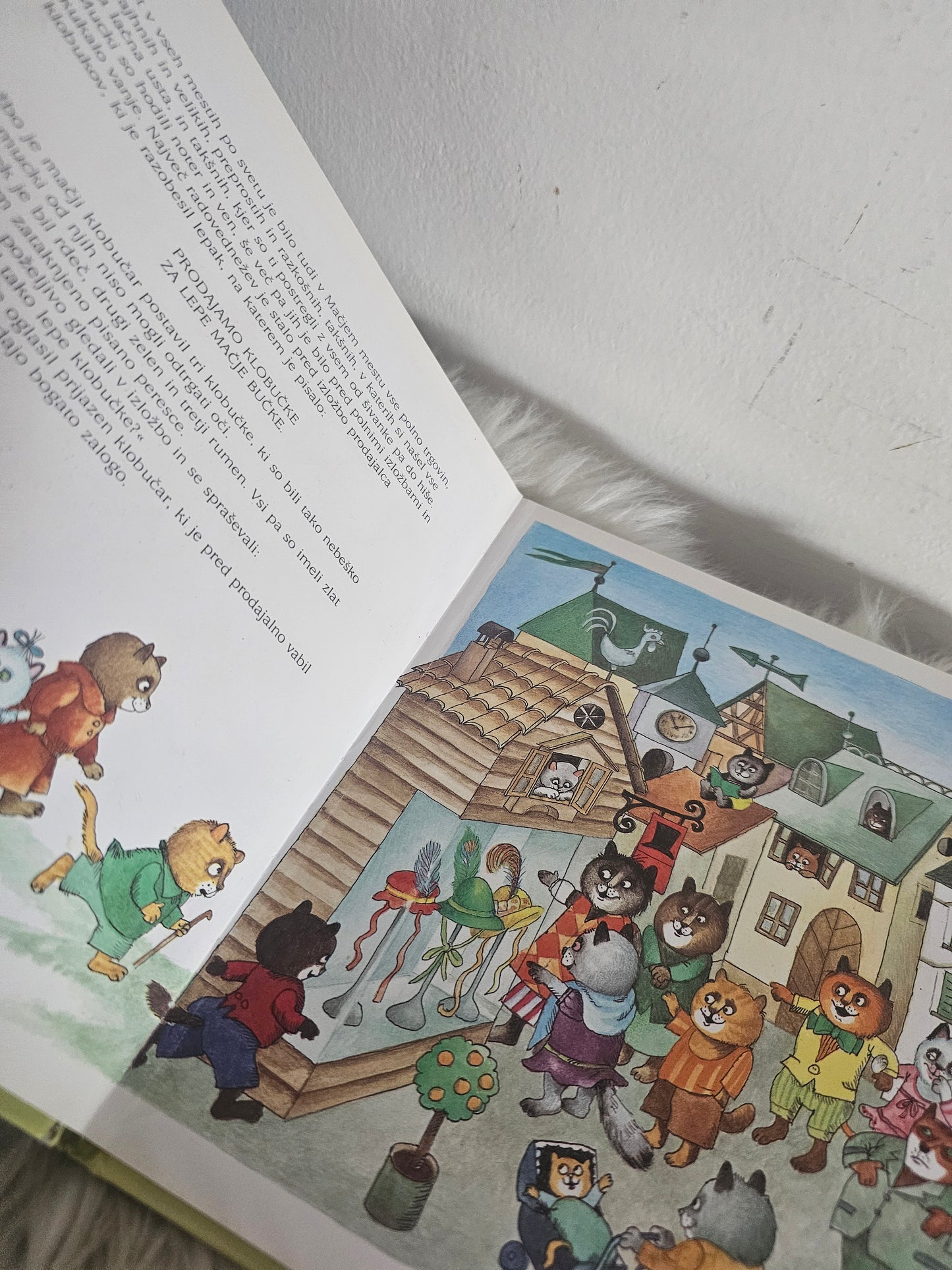 3 Mucini klobučki Janez Bitenc