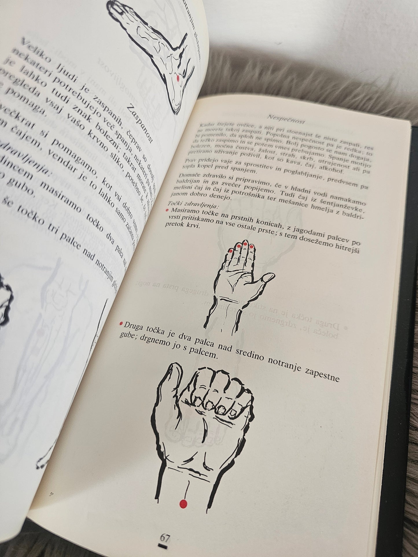 Živeti modro Marko Strle