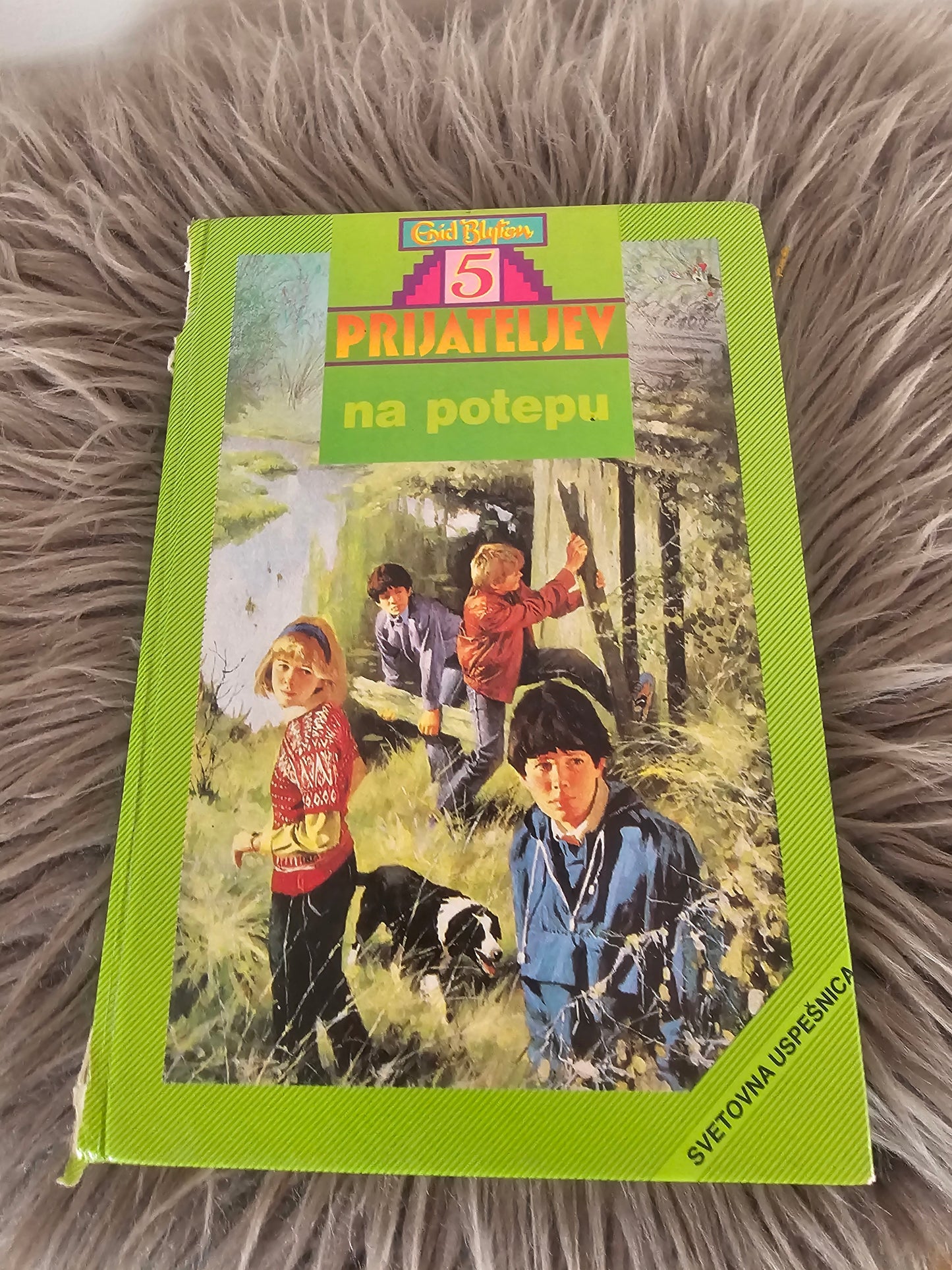 Pet prijateljev Na potepu Enid Blyton