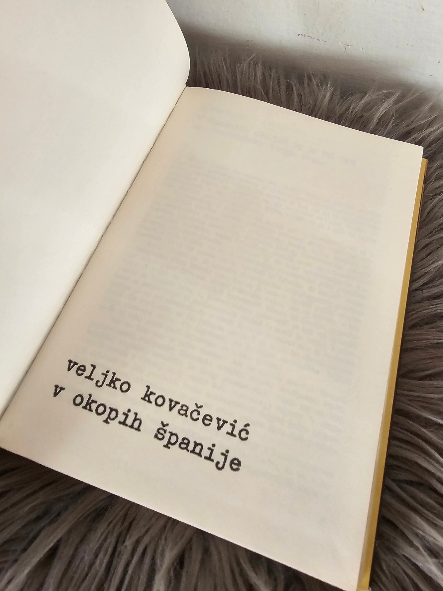V okopih Španije Veljko Kovačevič