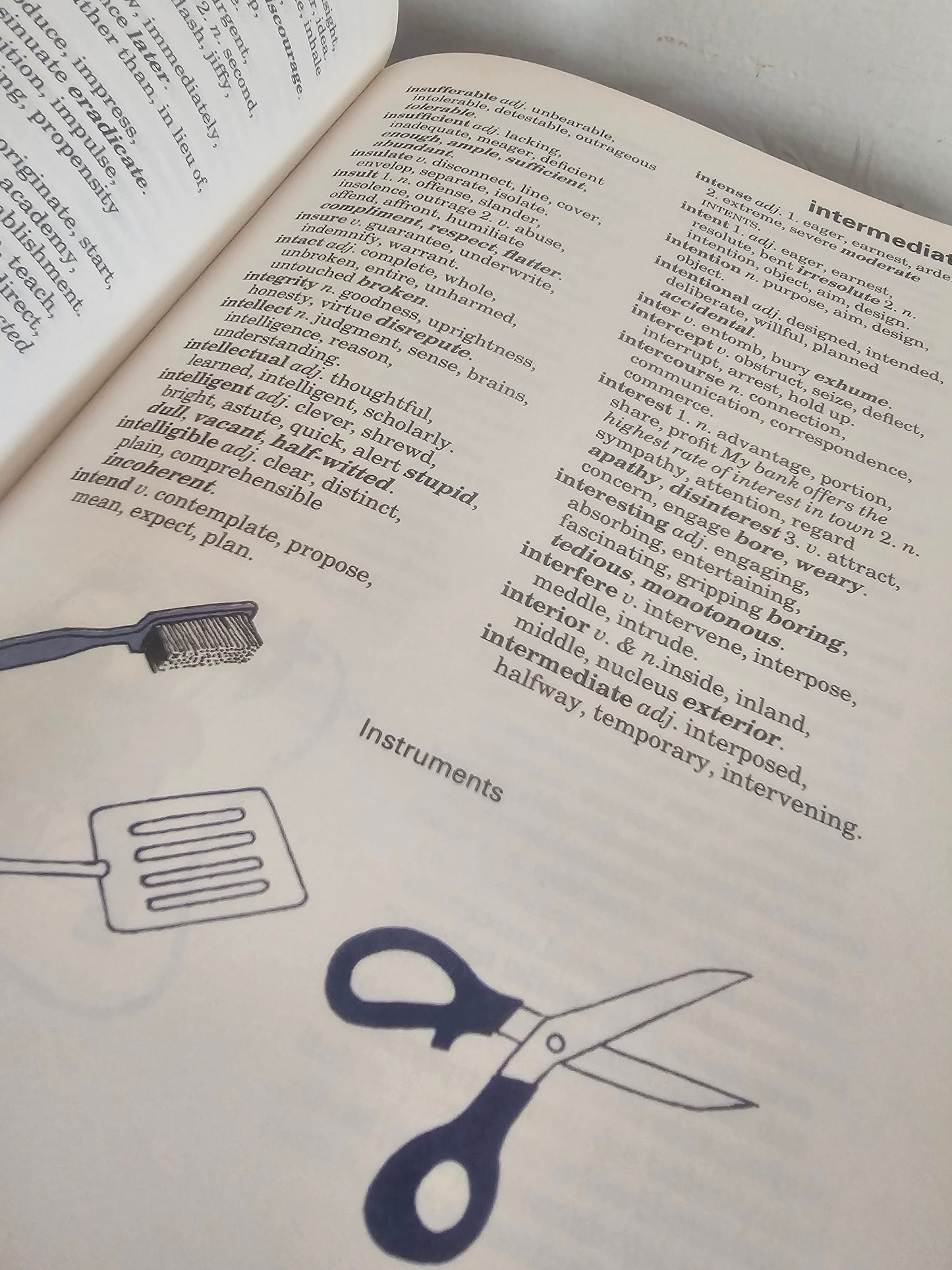 Illustrated Thesaurus več avtorjev