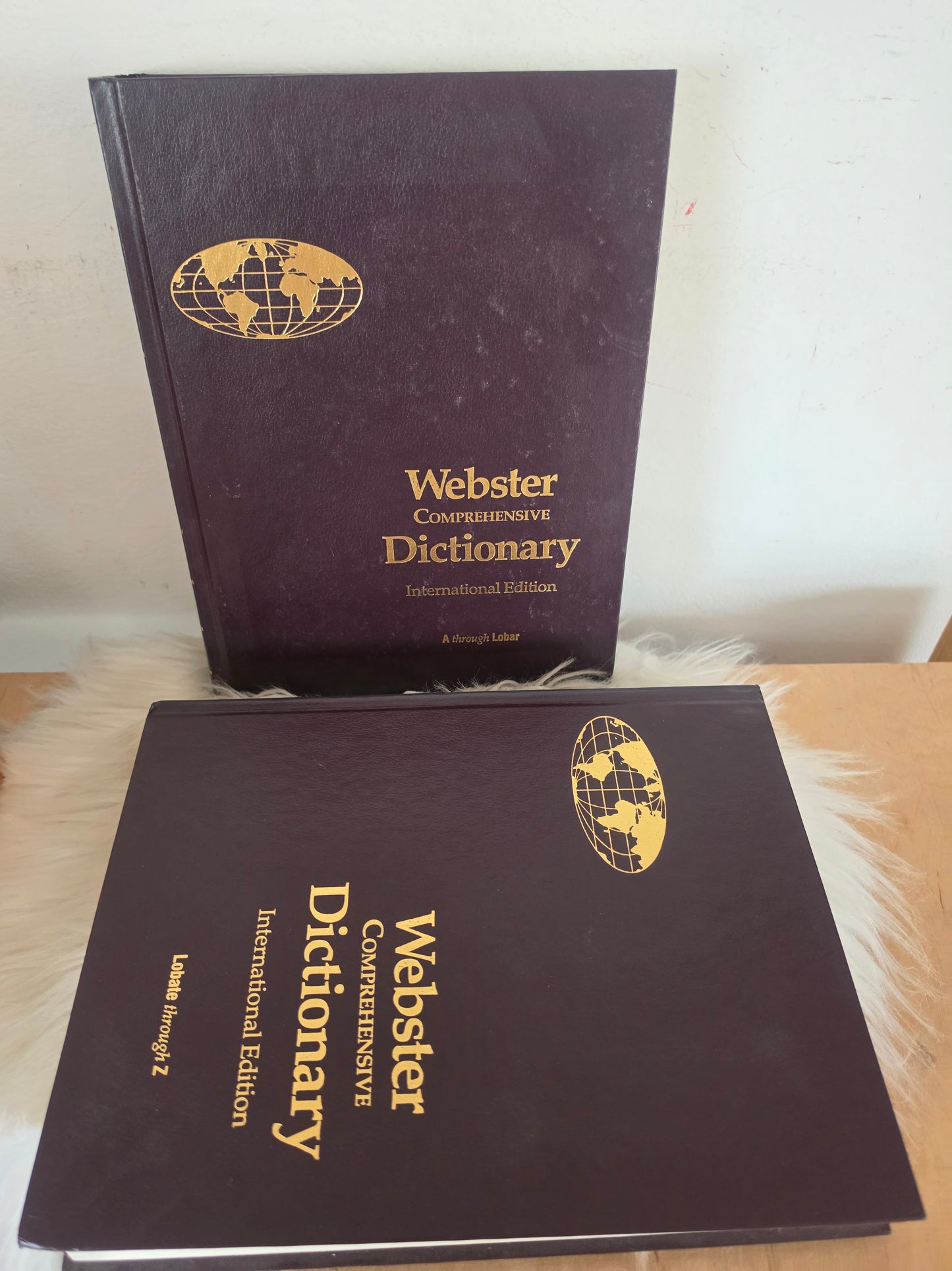 Webster Comprehensuve Dictionary International Edition več avtorjev