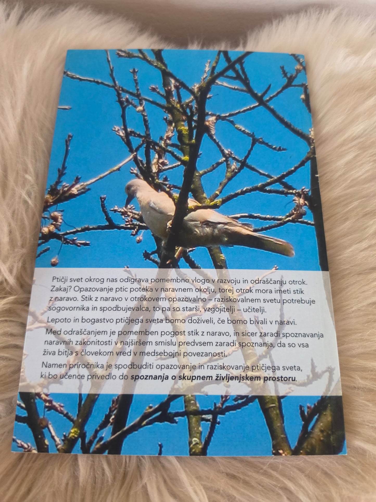 Mi in ptičji svet okrog nas Dane Katalinič