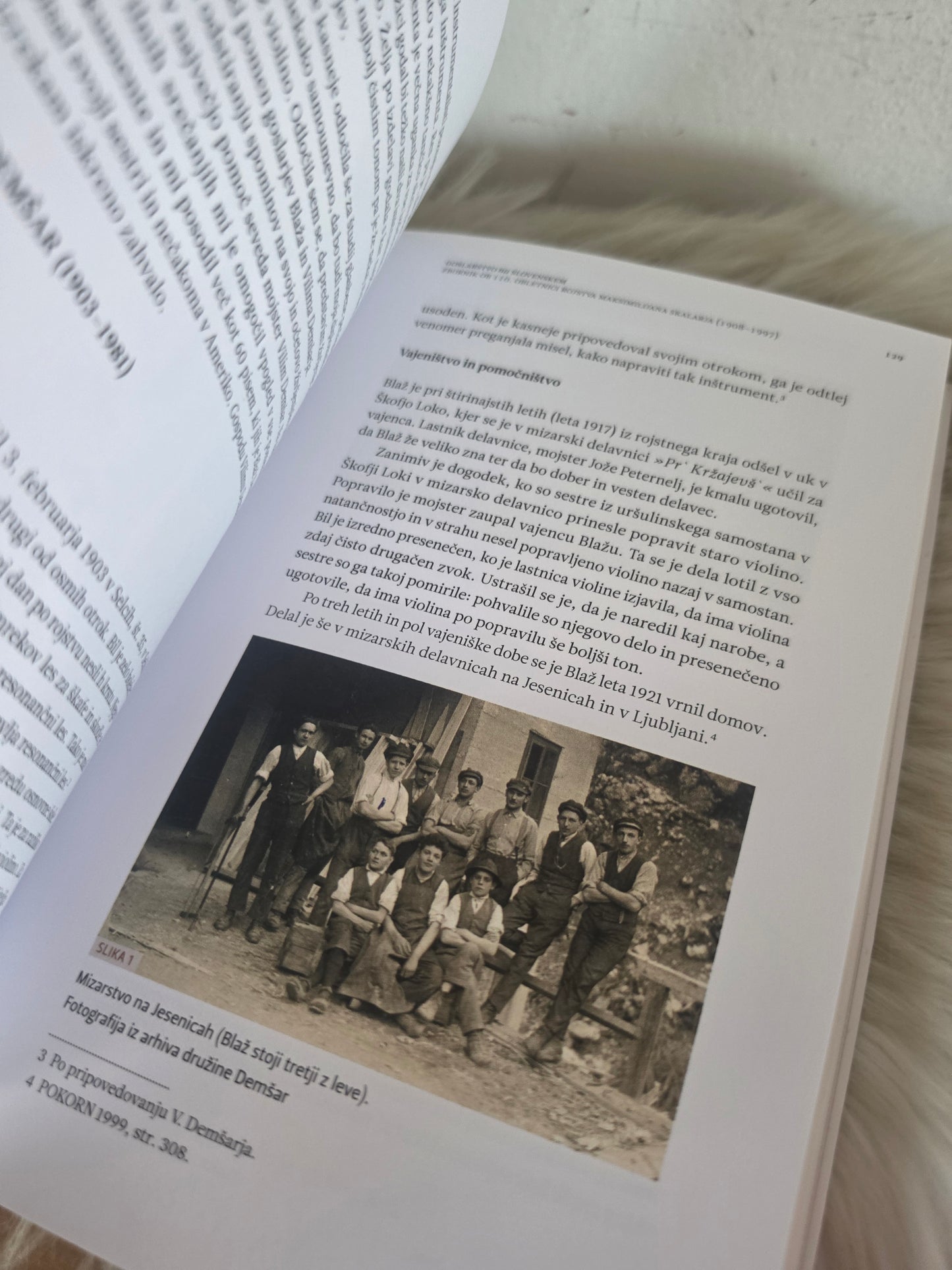 Goslarstvo na slovenskem Pokrajinski muzej Ptuj Ormož