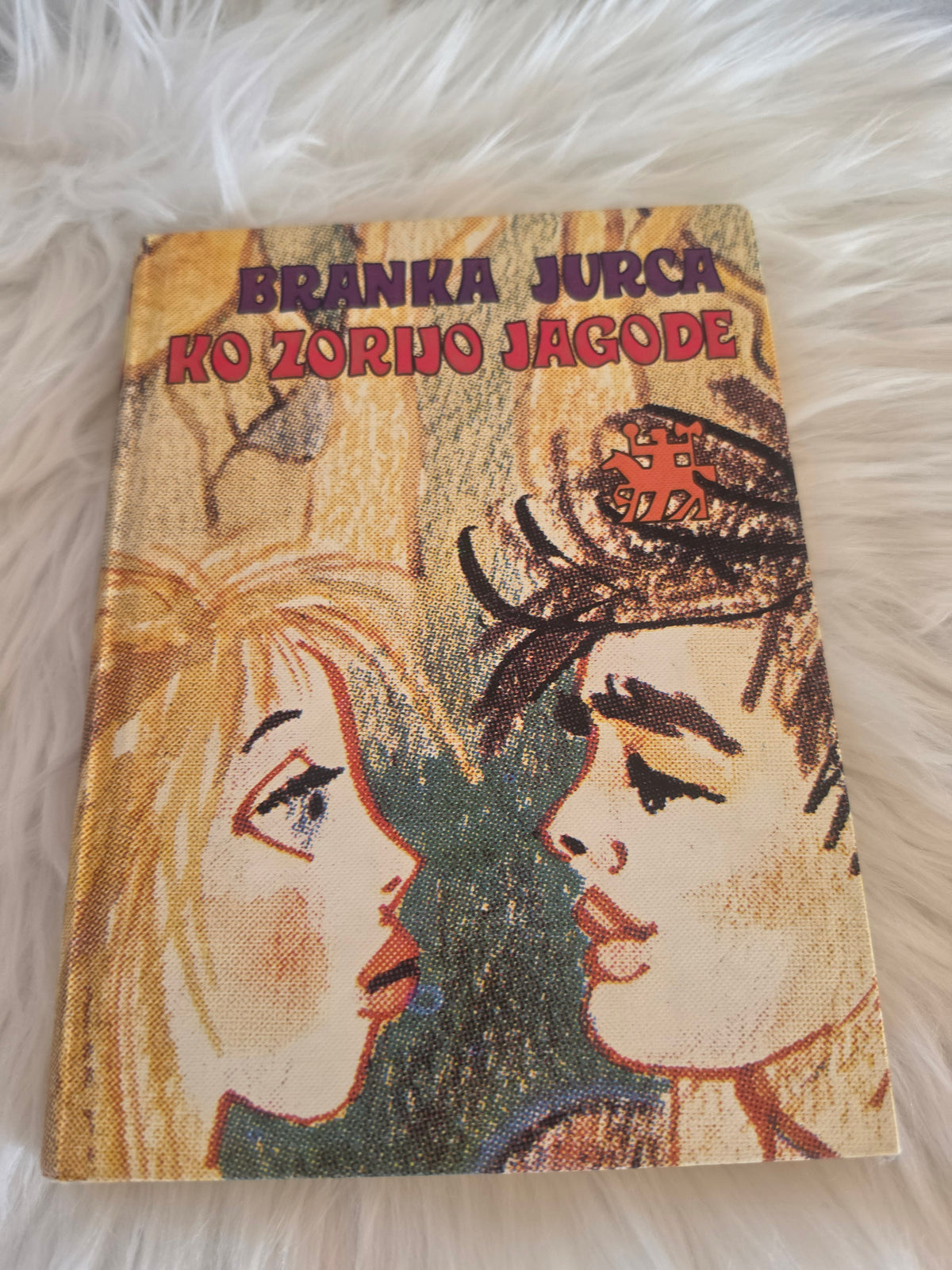 Ko zorijo jagode Branka Jurca