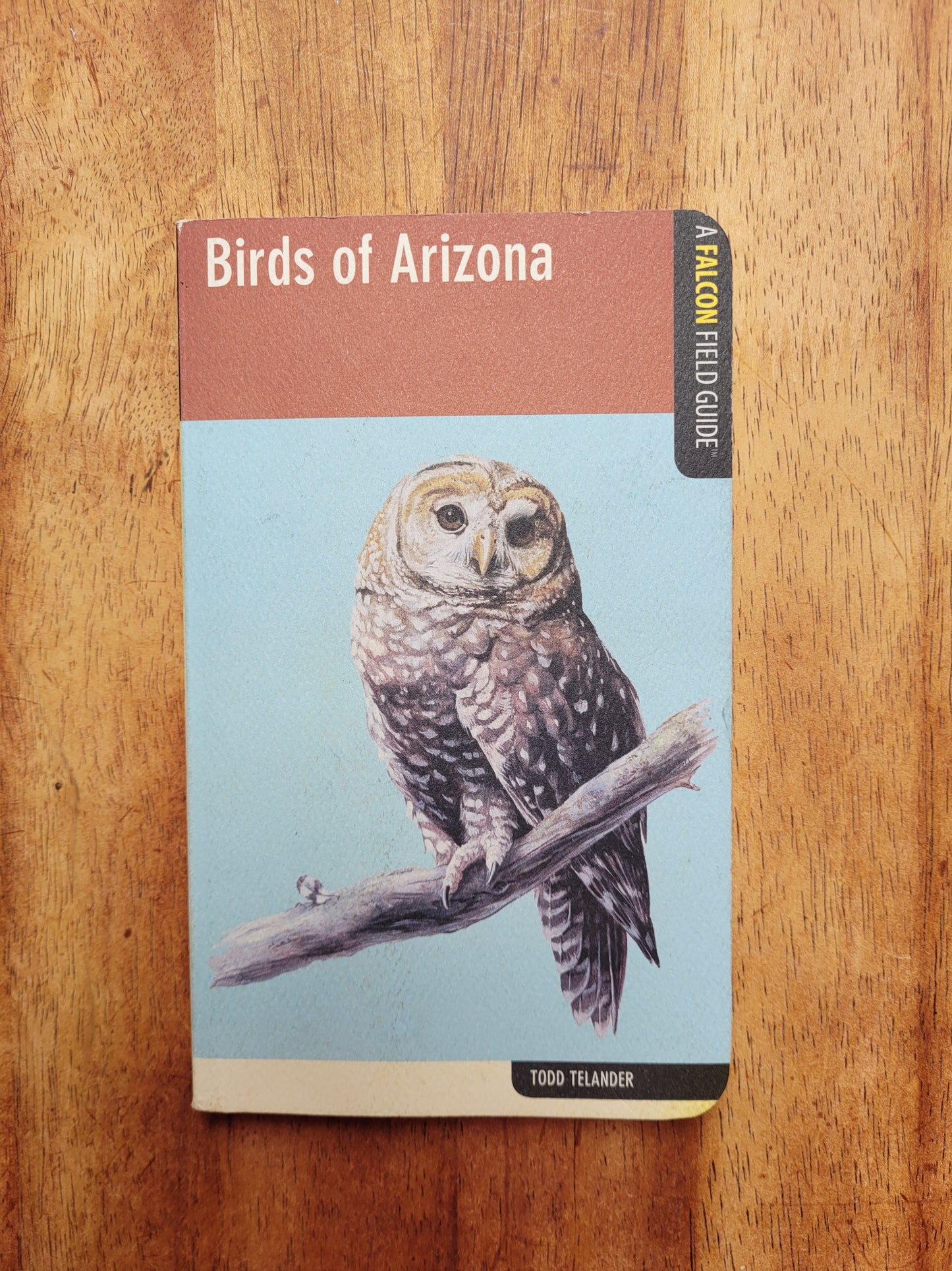 Birds of Arizona