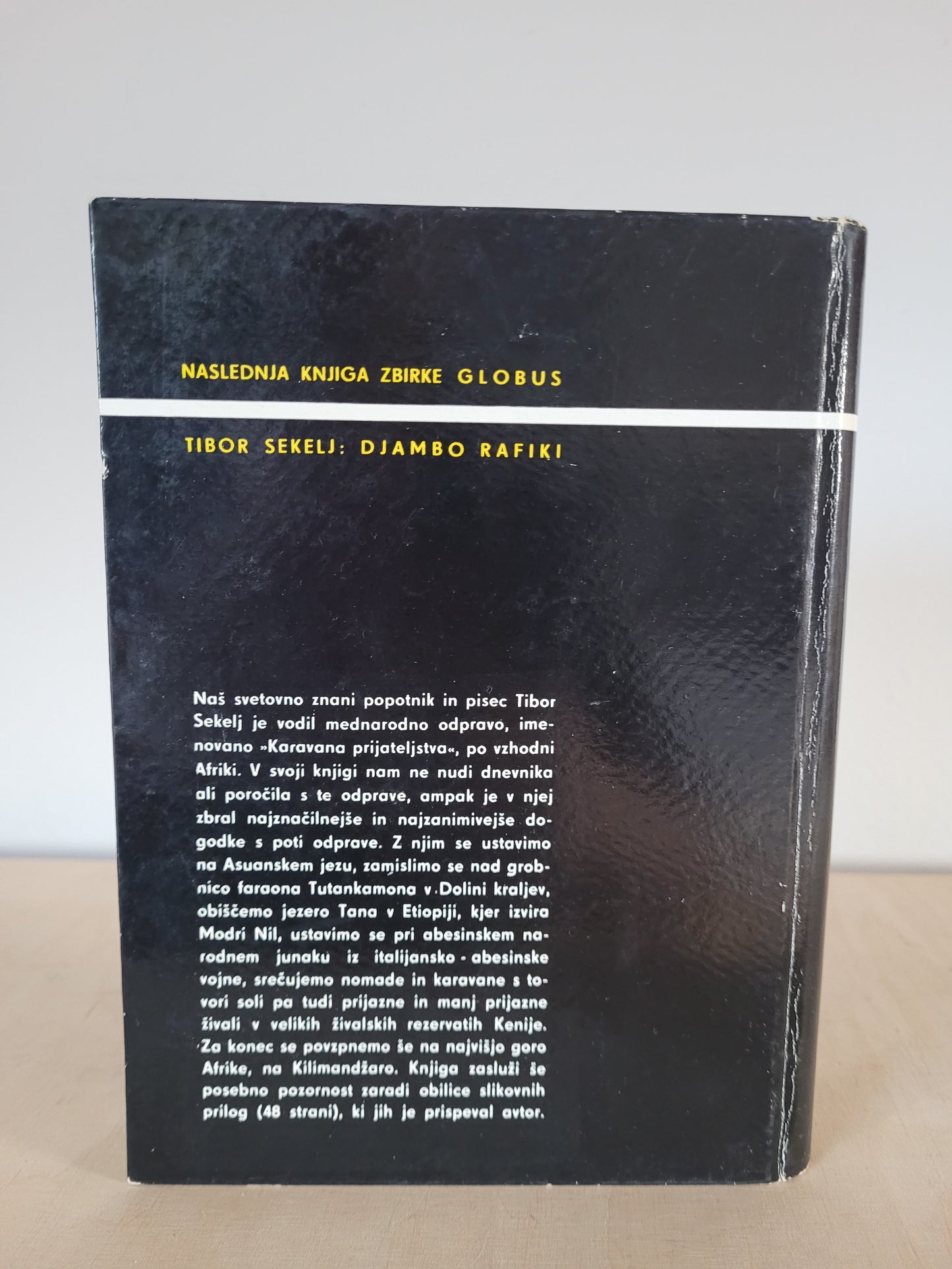 Vzhodno od Katmanduja Zoran Jerin