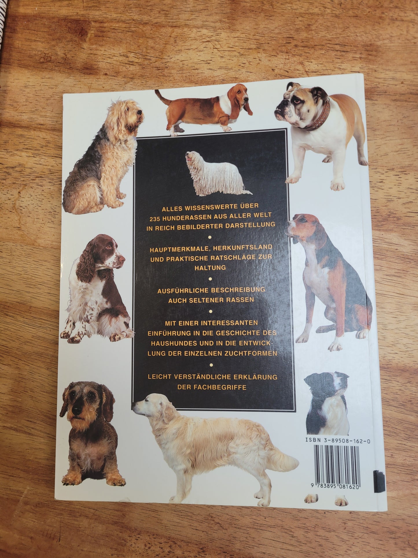 Hunde der welt
