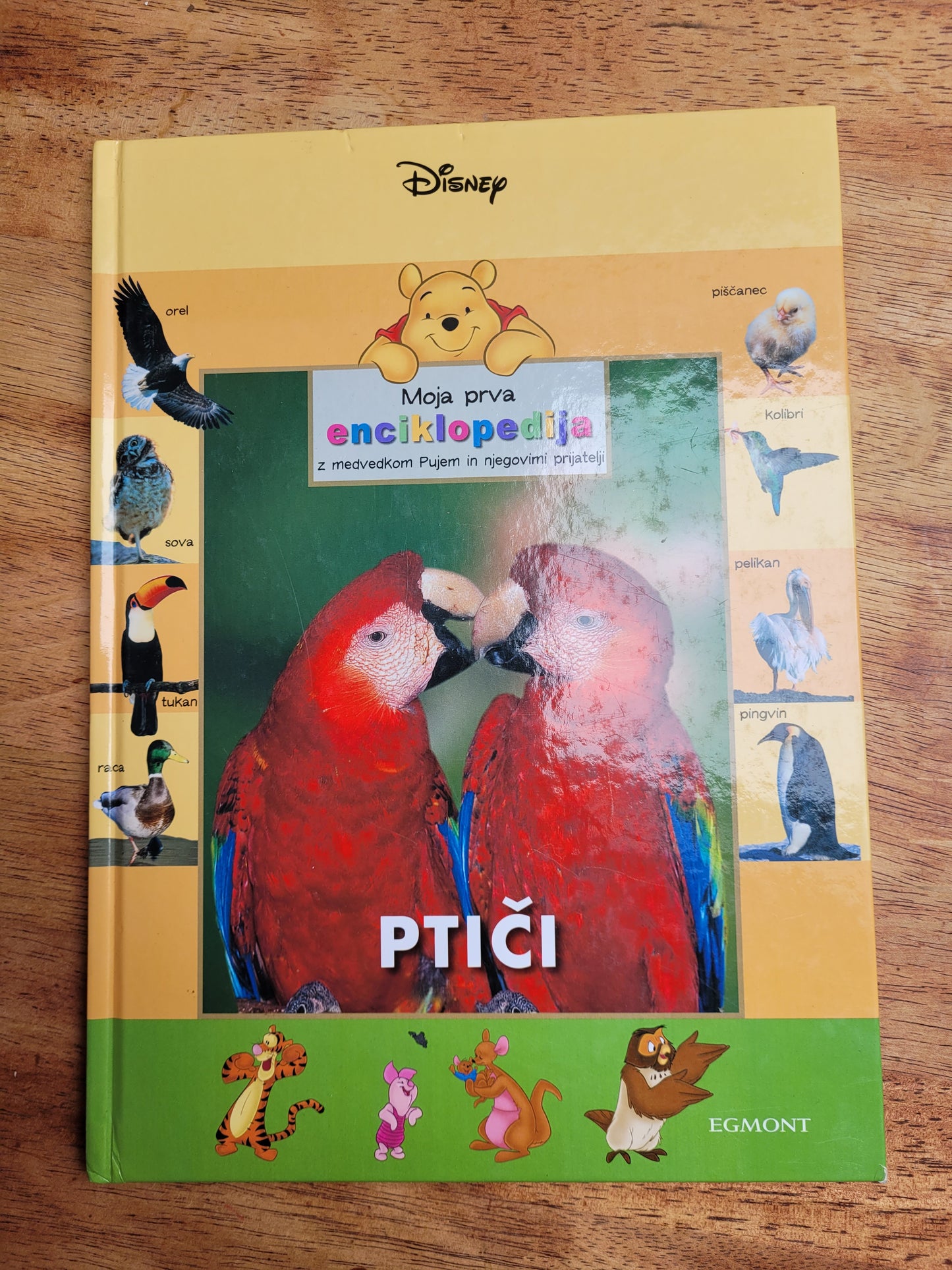 Moja prva enciklopedija z medvedkom Pujem in njegovimi prijatelji Ptiči Disney