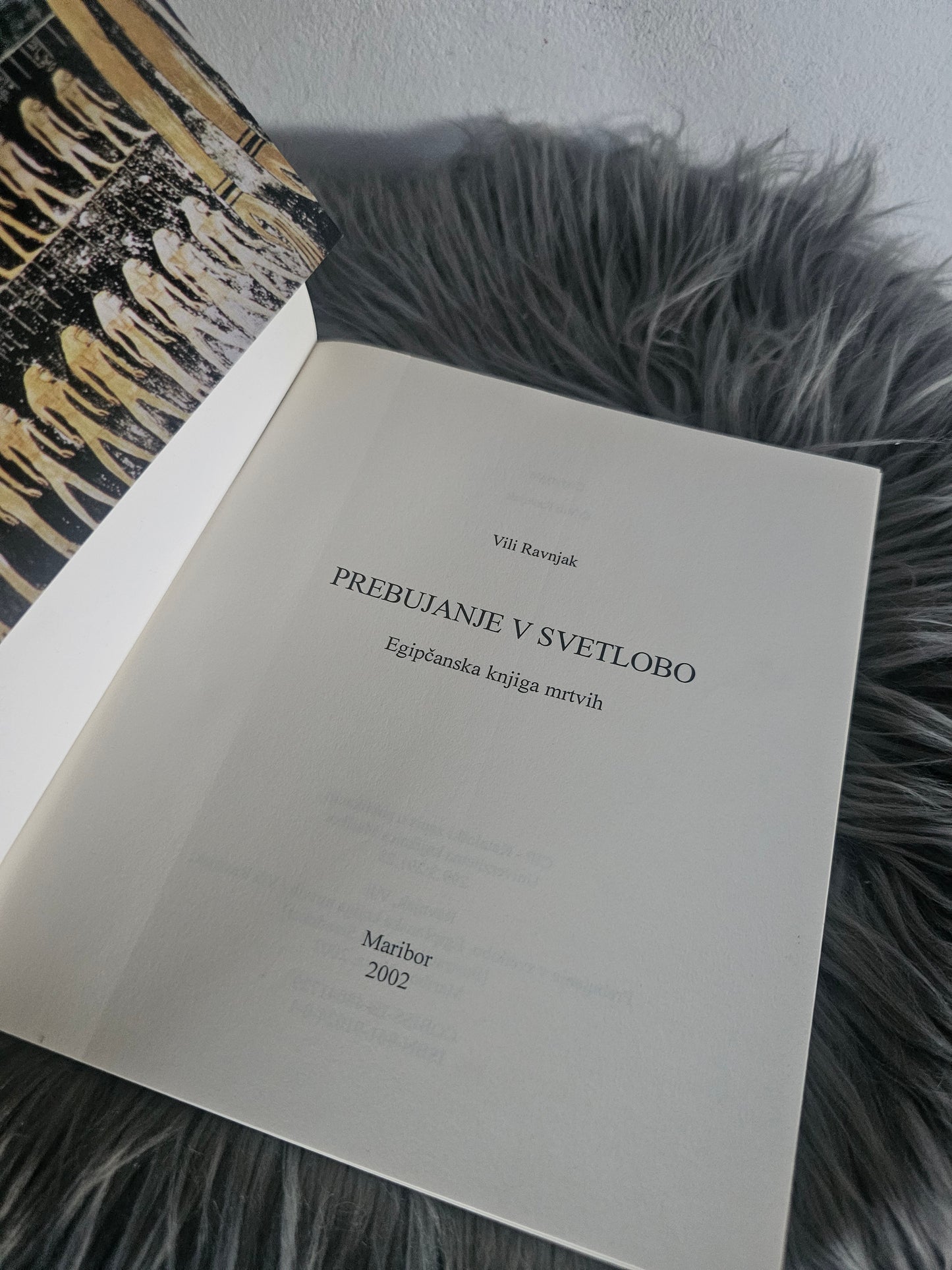 Prebujanja v svetlobi, Vili Ravnjak