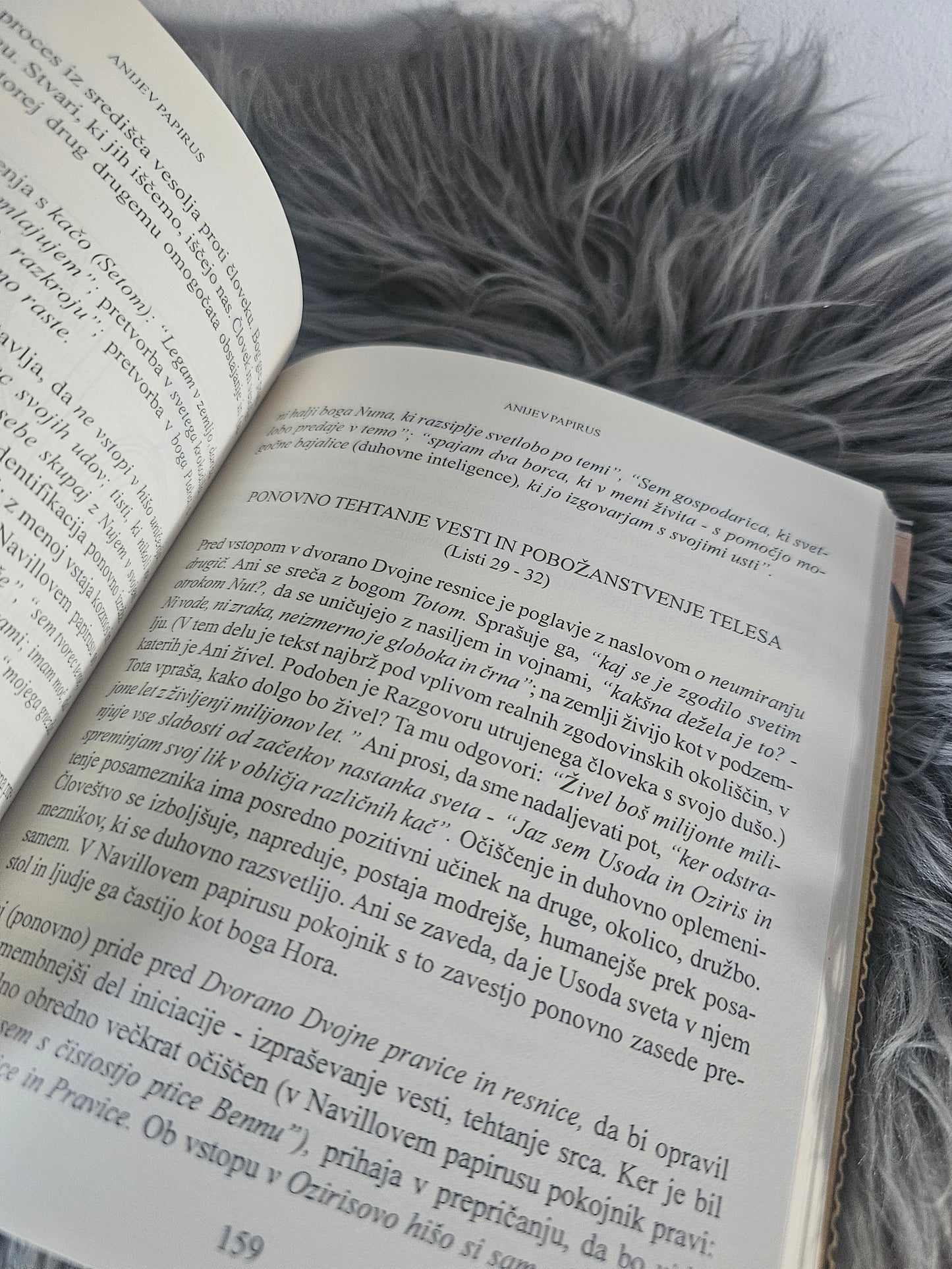 Prebujanja v svetlobi, Vili Ravnjak