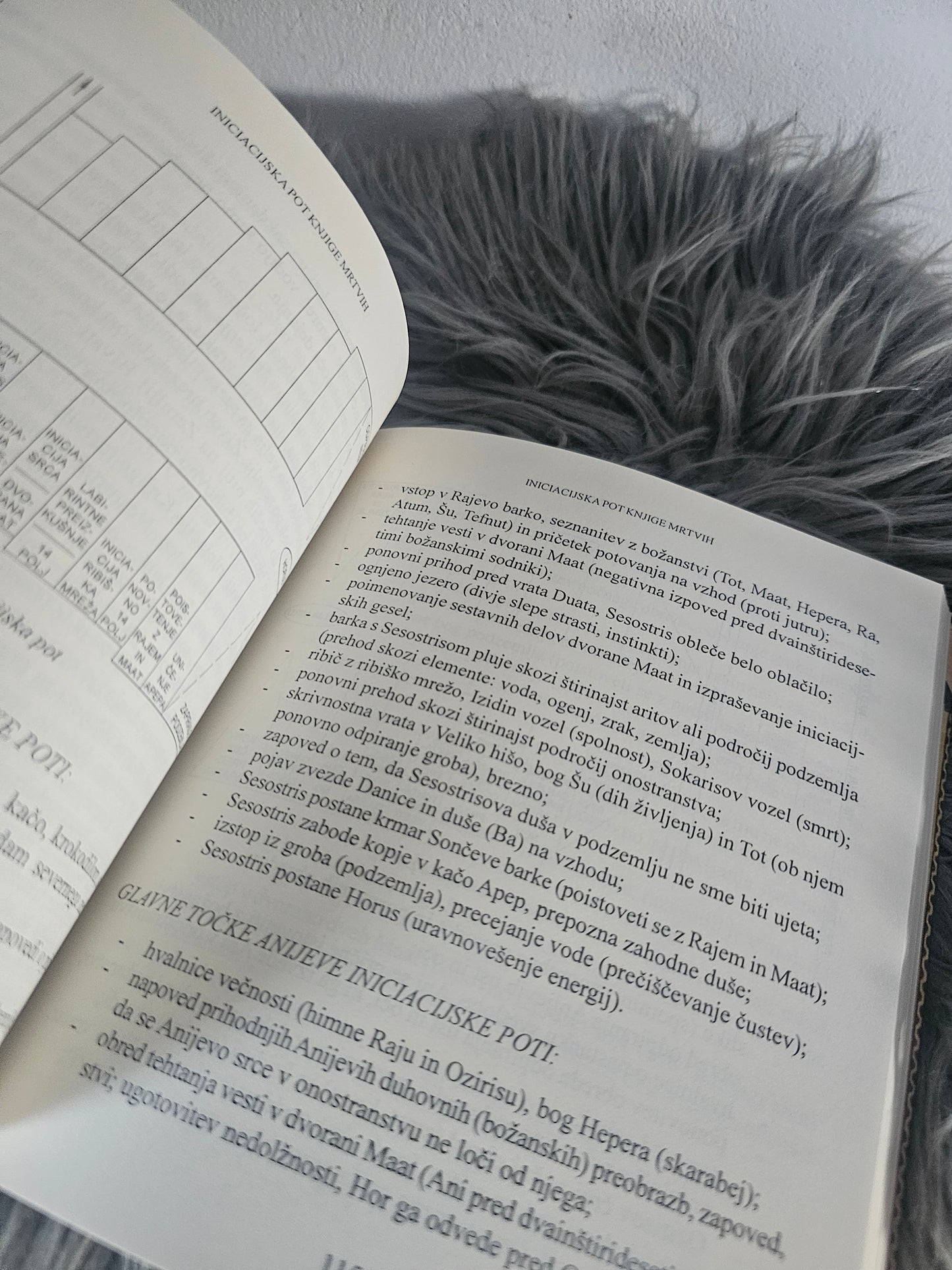 Prebujanja v svetlobi, Vili Ravnjak