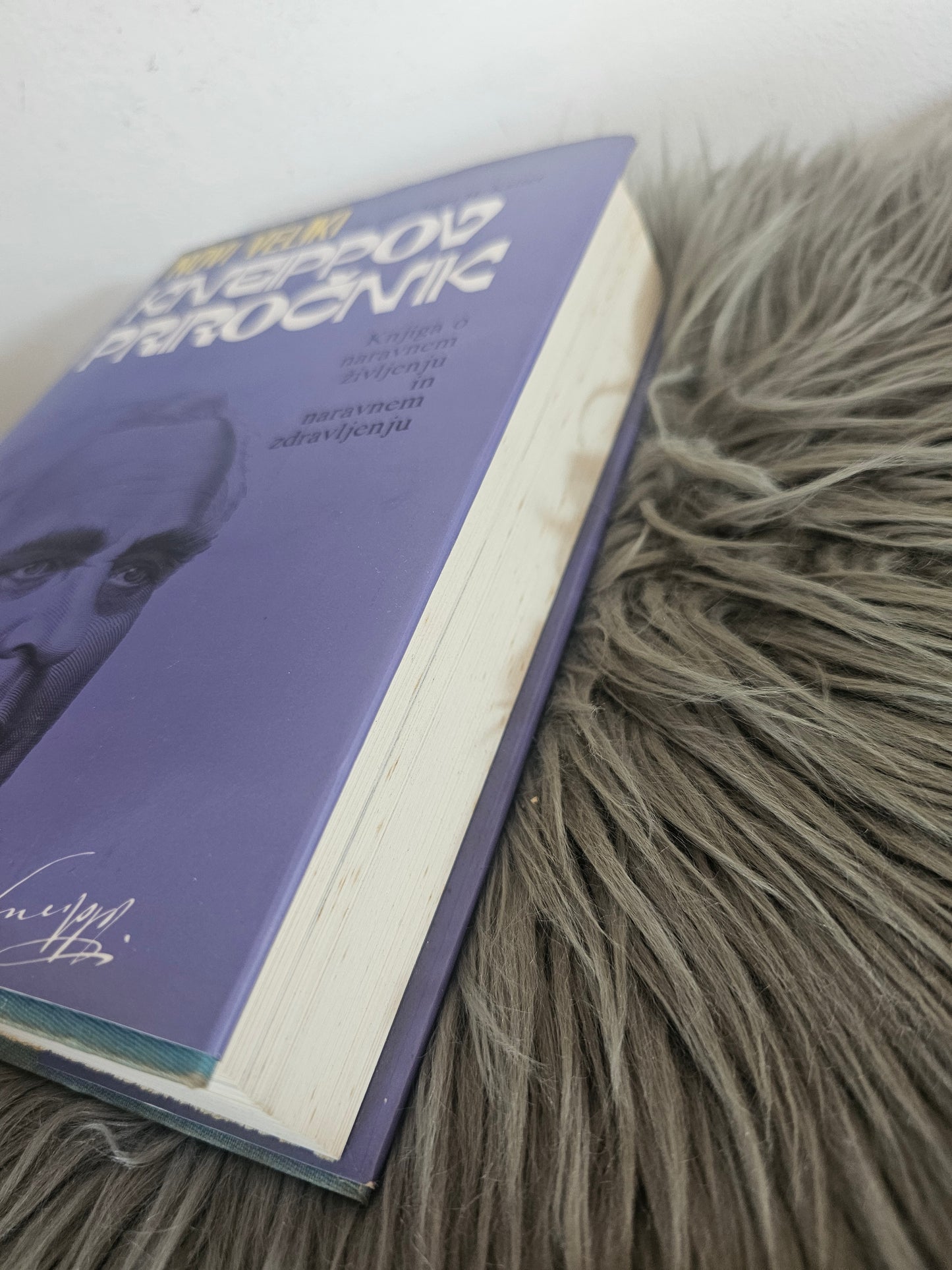 Kneippov priročnik dr. med, Josef H. Kaiser