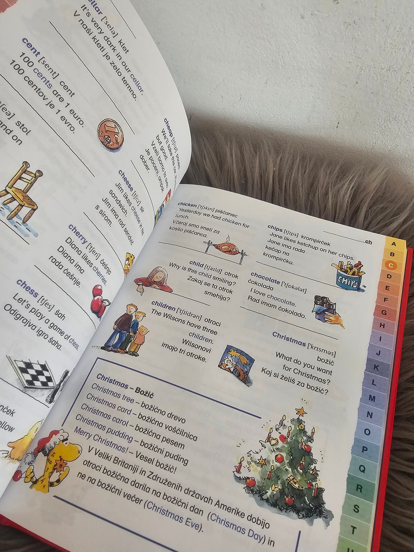 Angleško slovenski slikovni slovar za osnovno šolo Mladinska knjiga