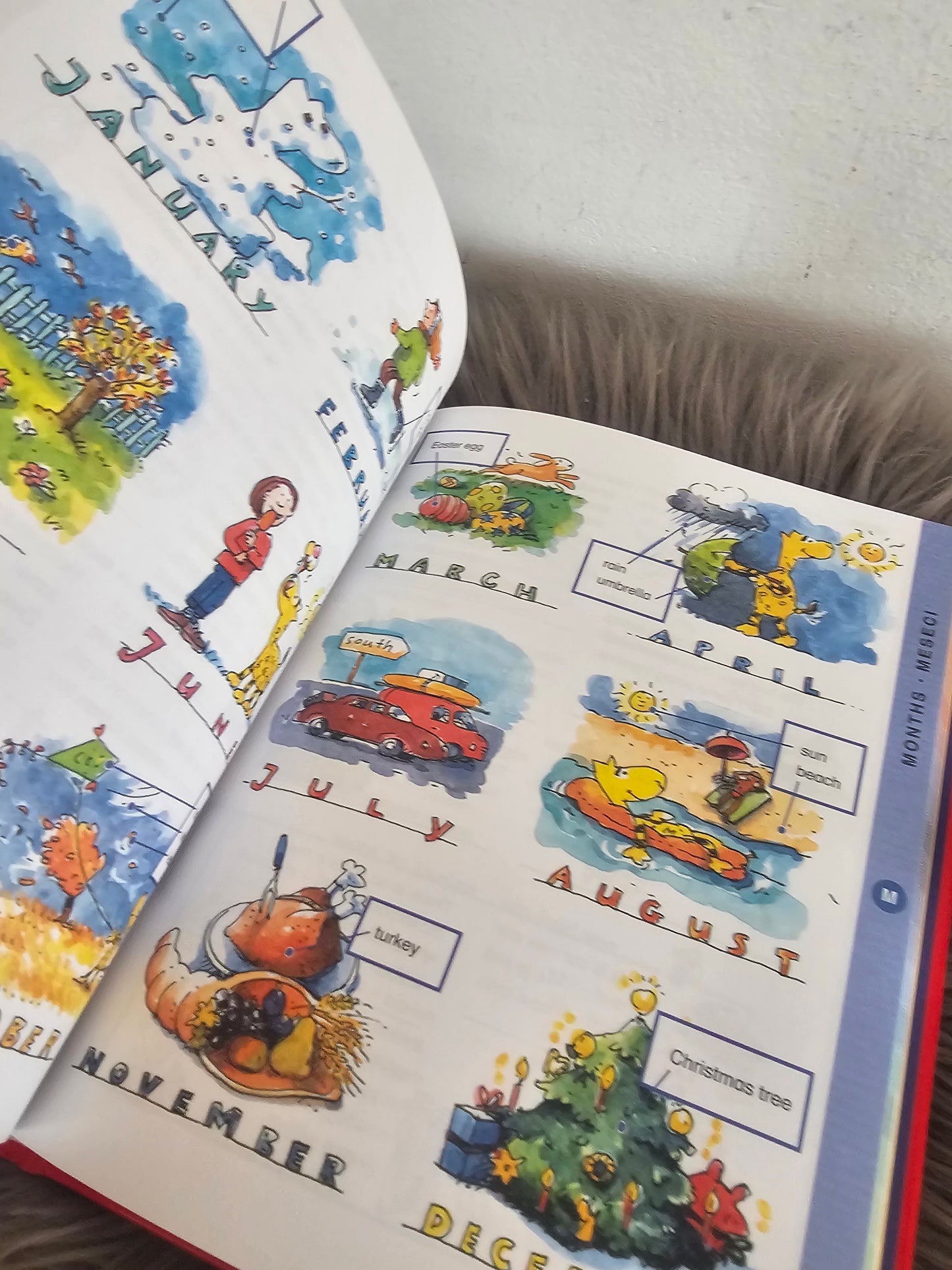Angleško slovenski slikovni slovar za osnovno šolo Mladinska knjiga