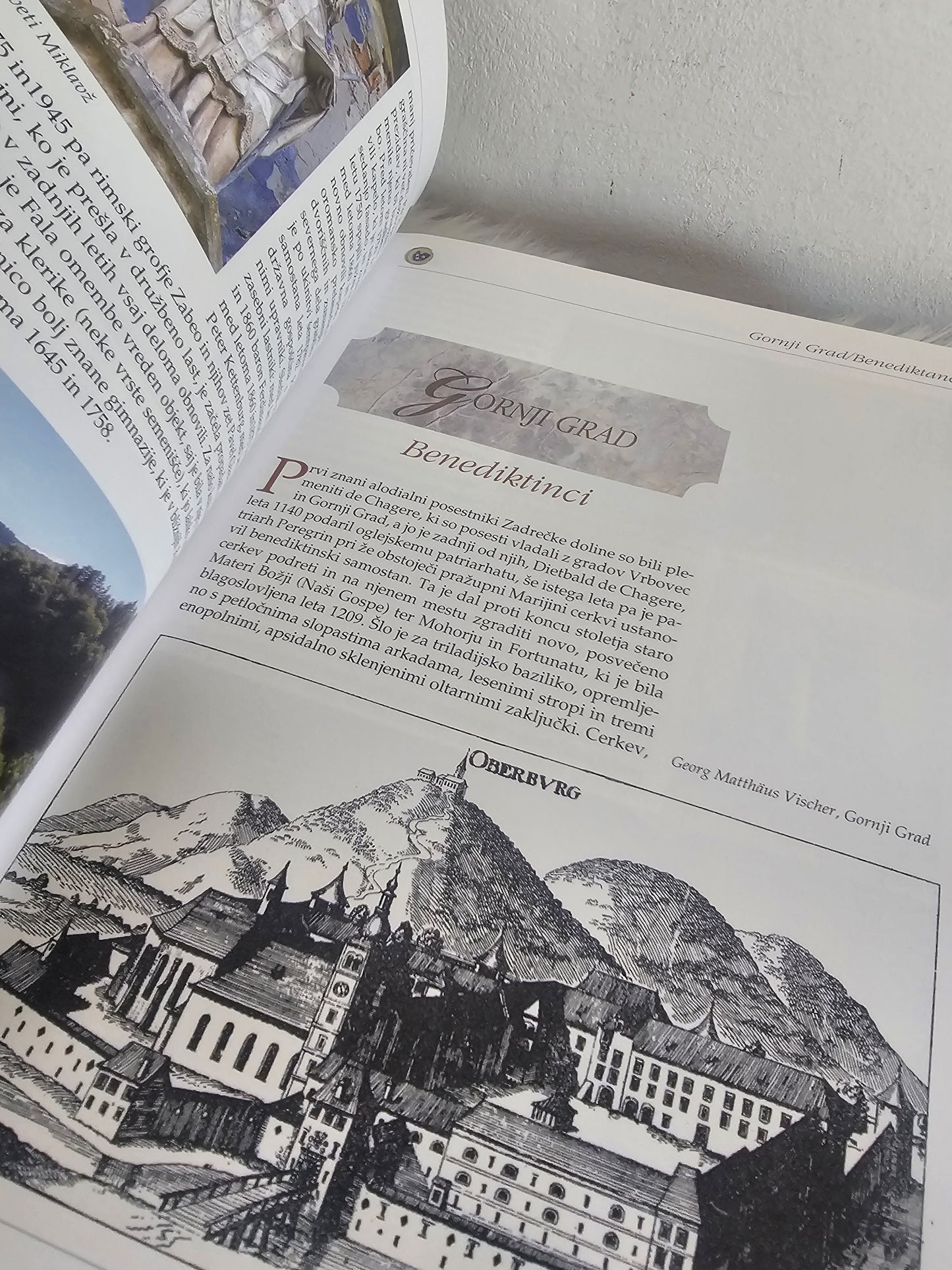 Samostani na Slovenskem  več avtorjev