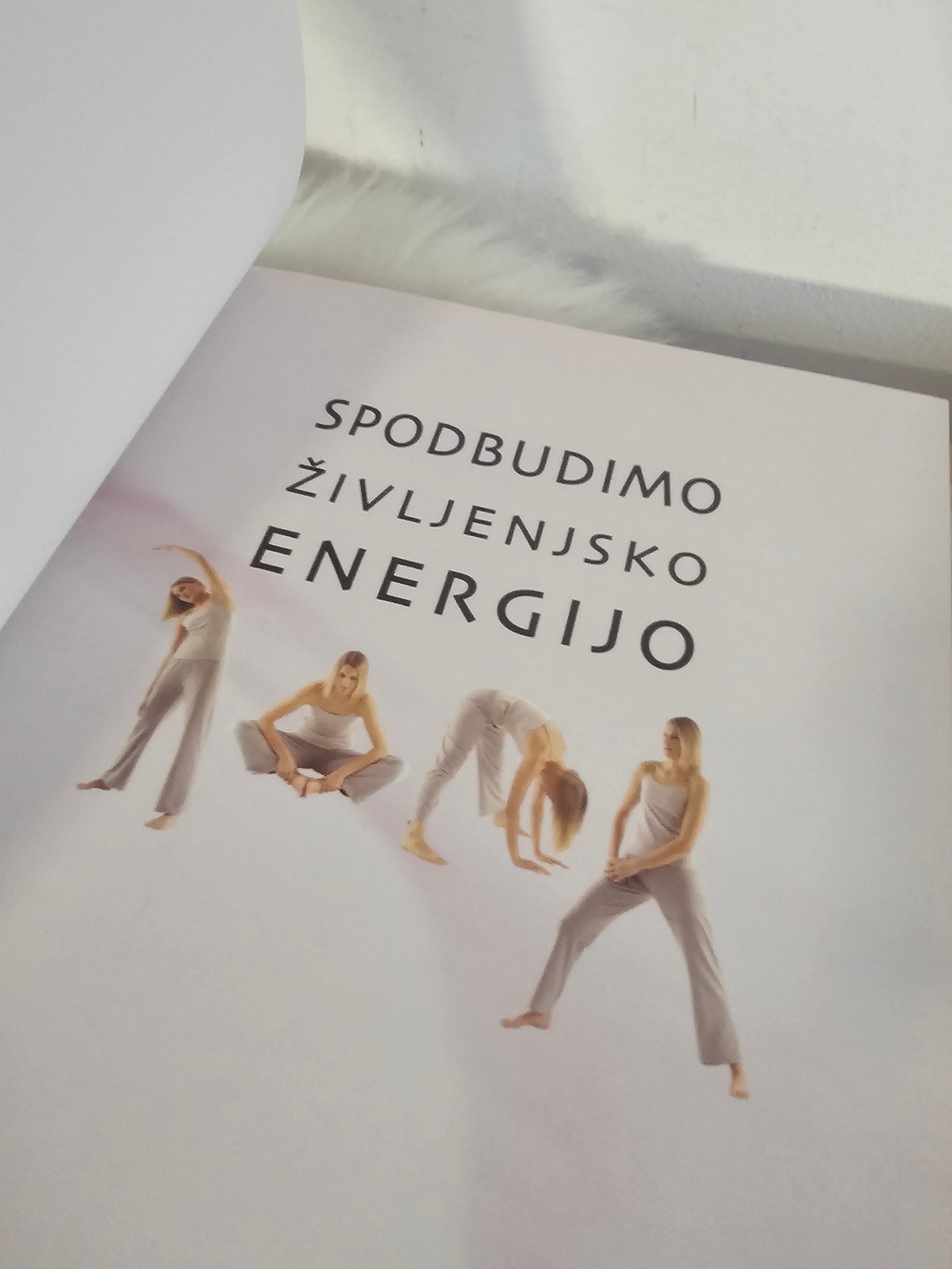 Spodbudimo življenjsko energijo, Simon G. Brown.