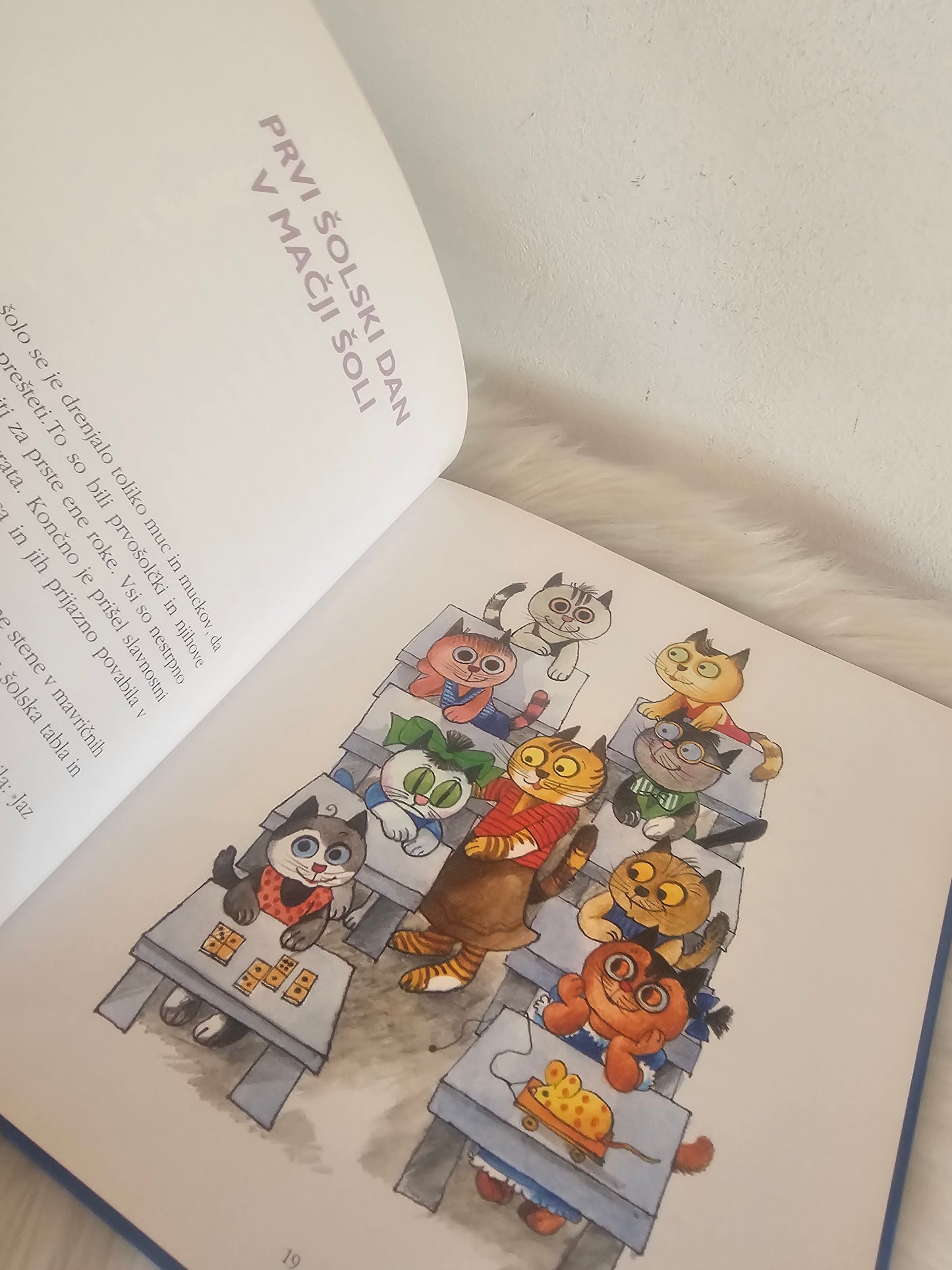 Mucka Čiribucka  Janez Bitenc