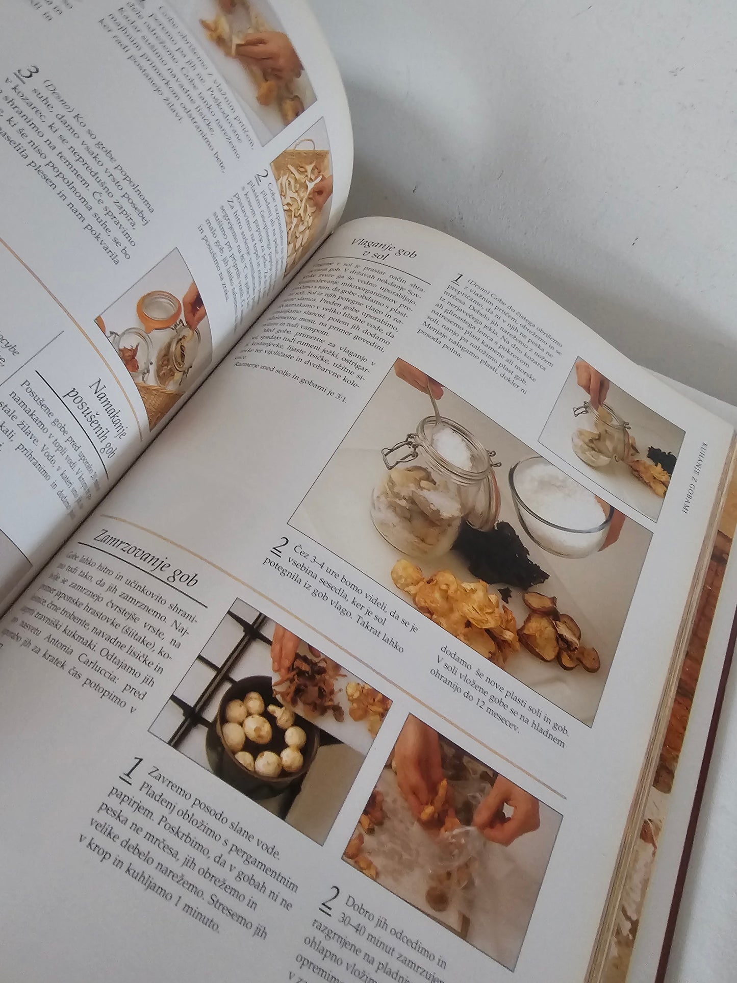 Gobe Vodnik po svetu gob Peter Jordan in Steven Wheeler