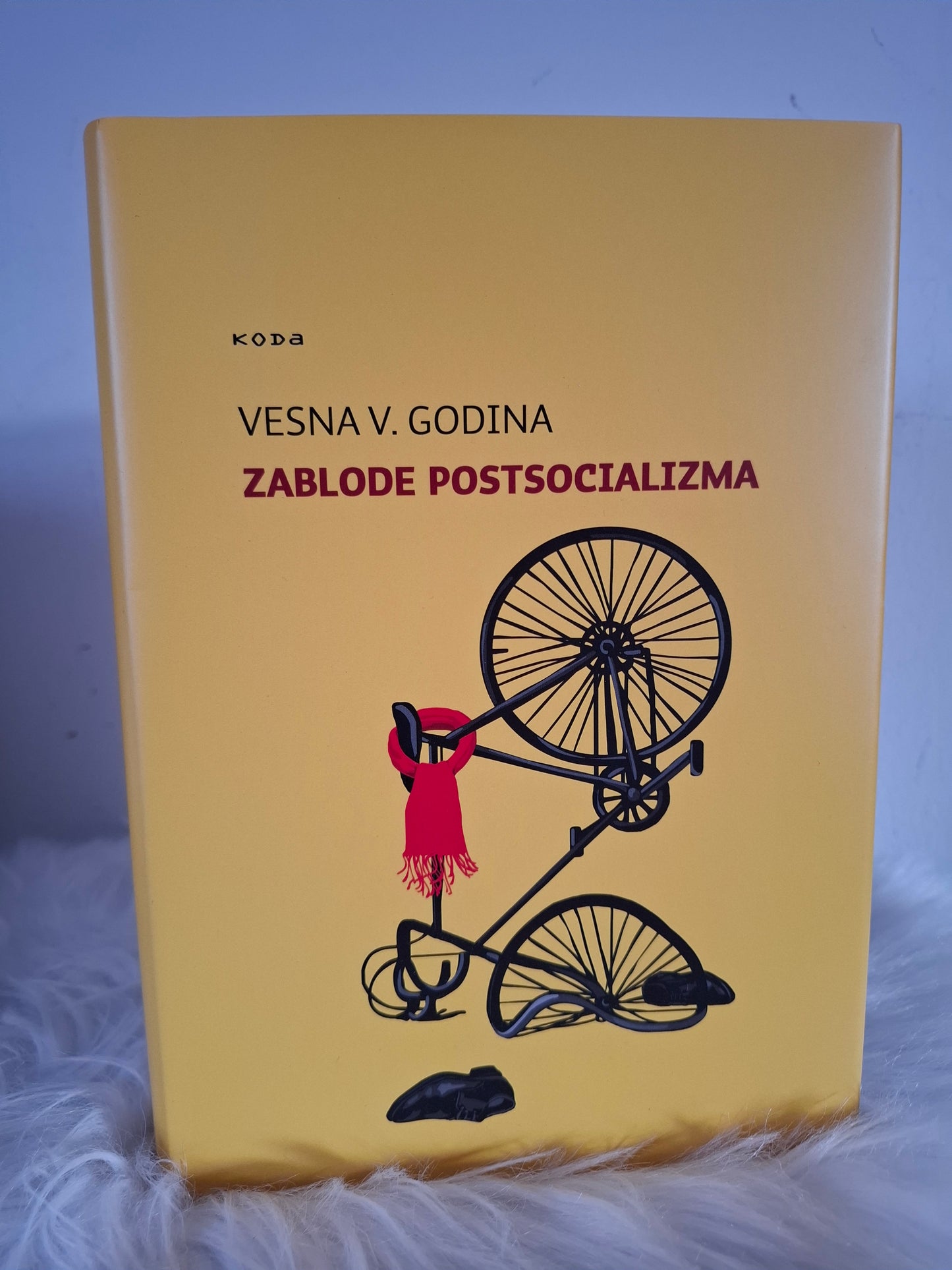 Zablode postsocializma, Vesna V. Godina