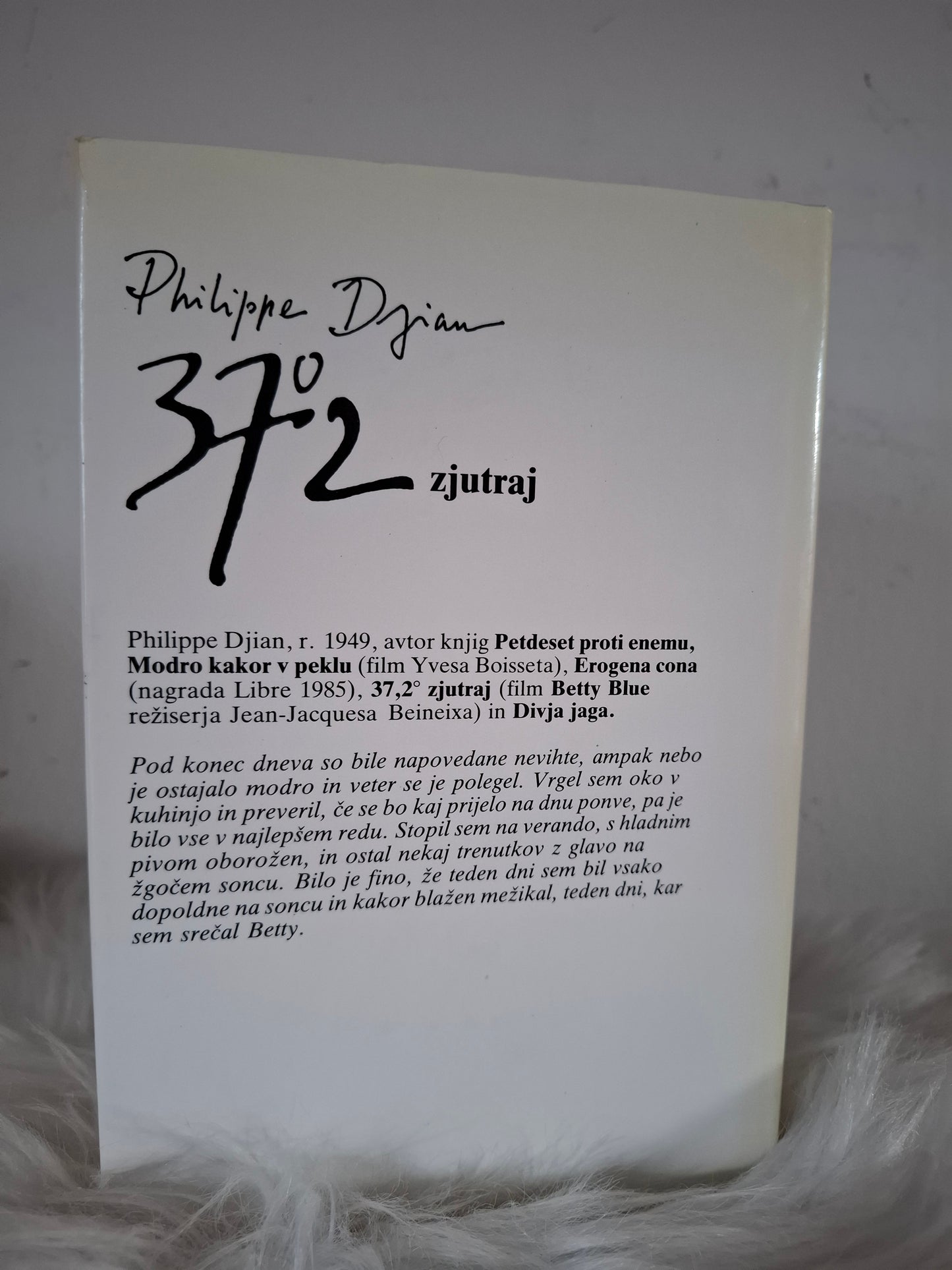 37.2 zjutraj, Philippe Djian