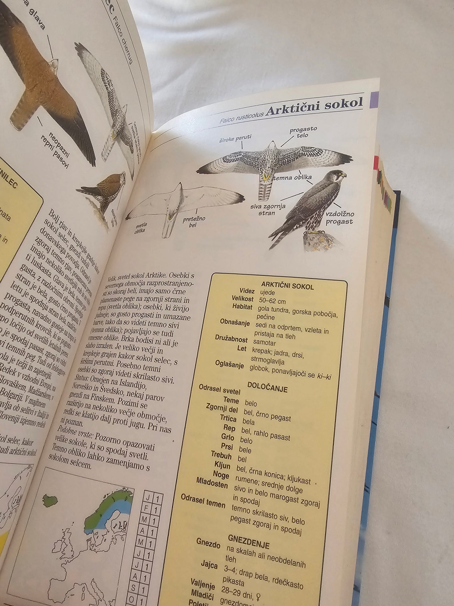 Čudovit svet ptičev Slovenije in Evrope John Gooders