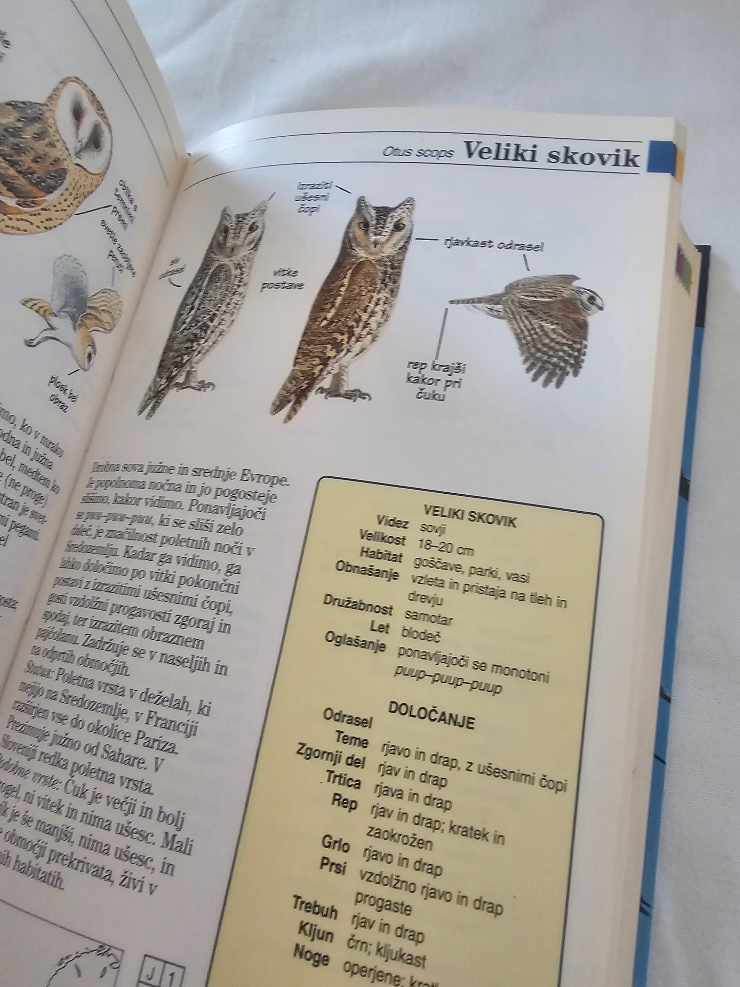 Čudovit svet ptičev Slovenije in Evrope John Gooders