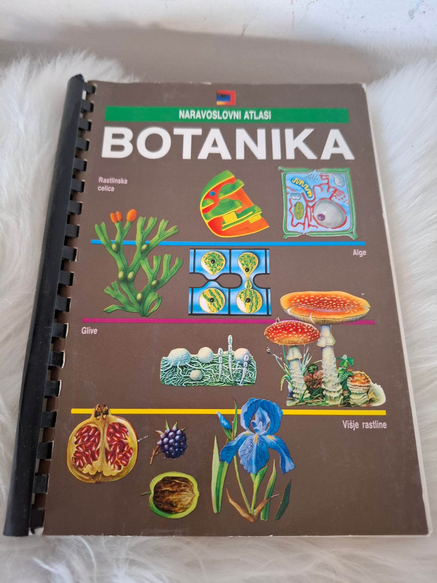 Naravoslovni atlas, botanika Založba Mladinska knjiga