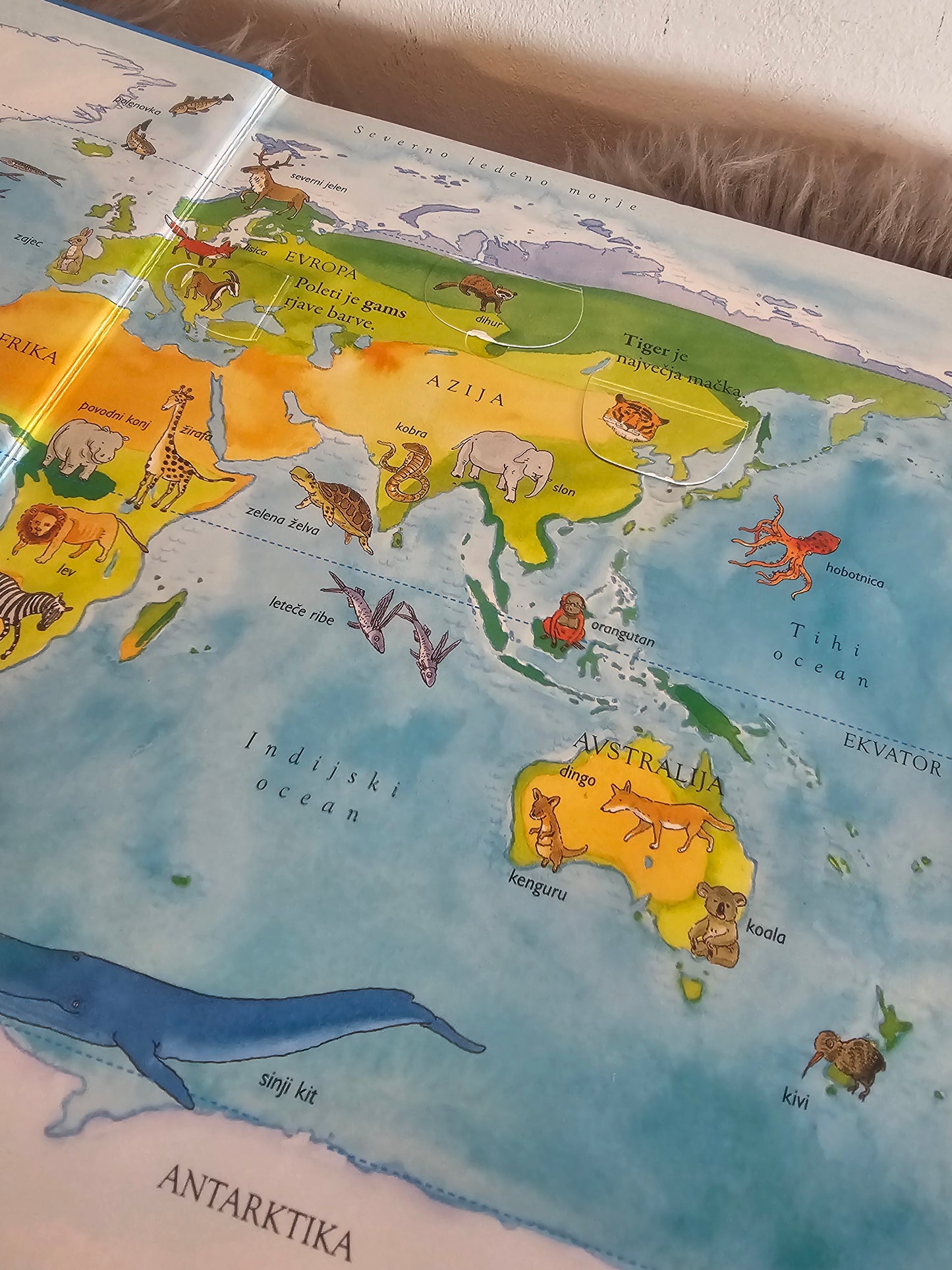 Živai sveta knjiga z zavihki Učila