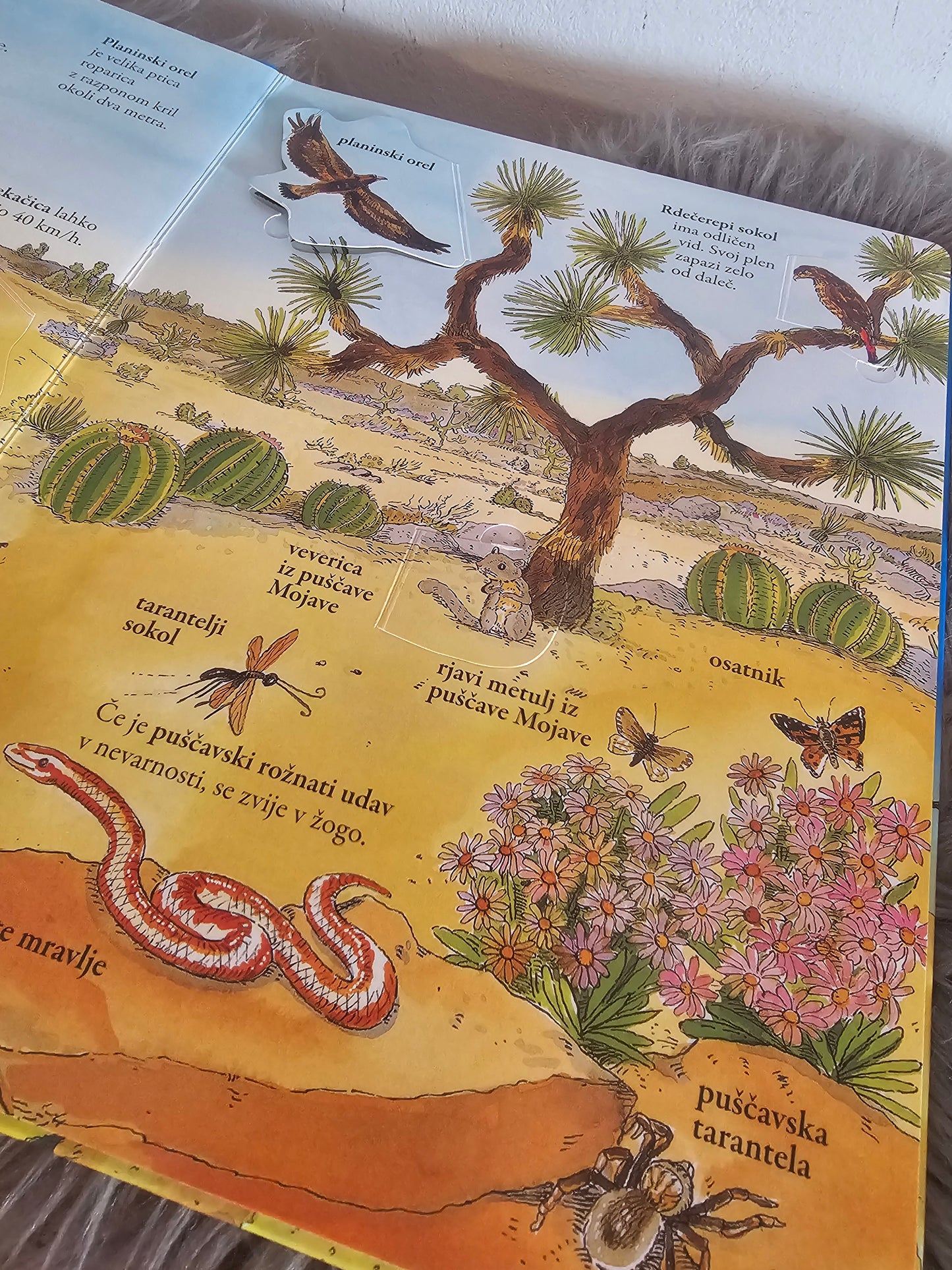 Živai sveta knjiga z zavihki Učila