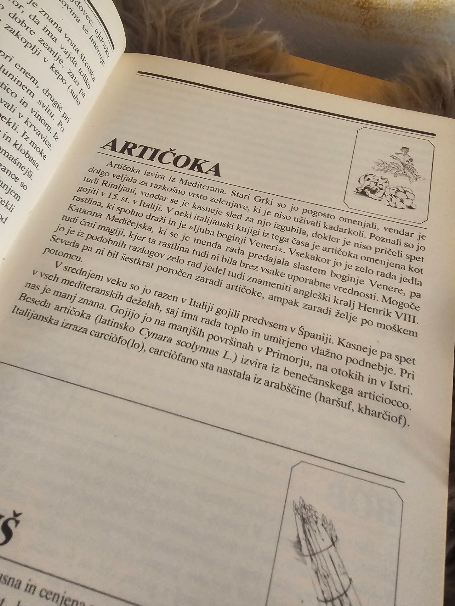 Zelenjavne jedi več avtorjev