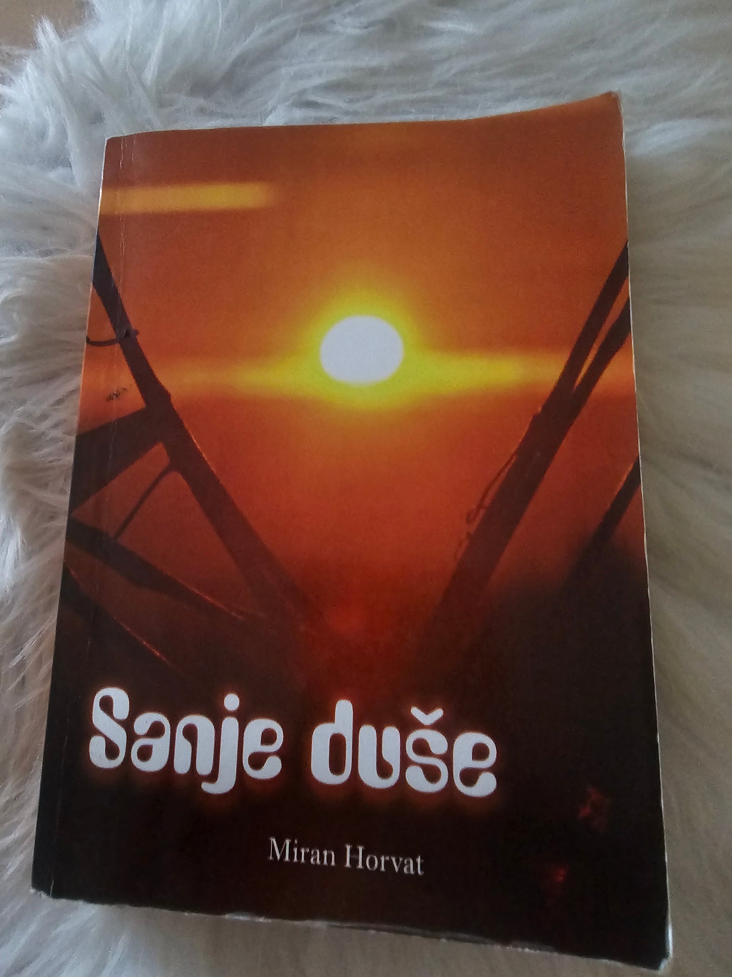 Sanje duše, Miran Horvat