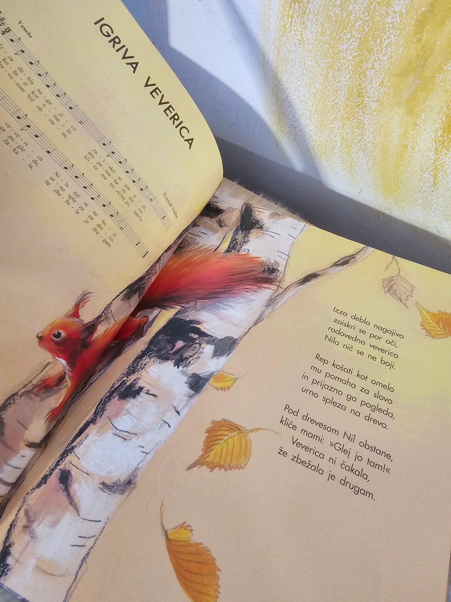 Pisana račka Tomaž Habe