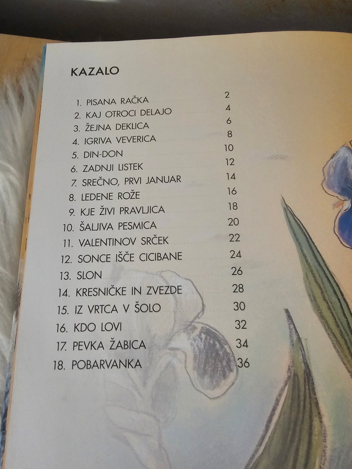 Pisana račka Tomaž Habe