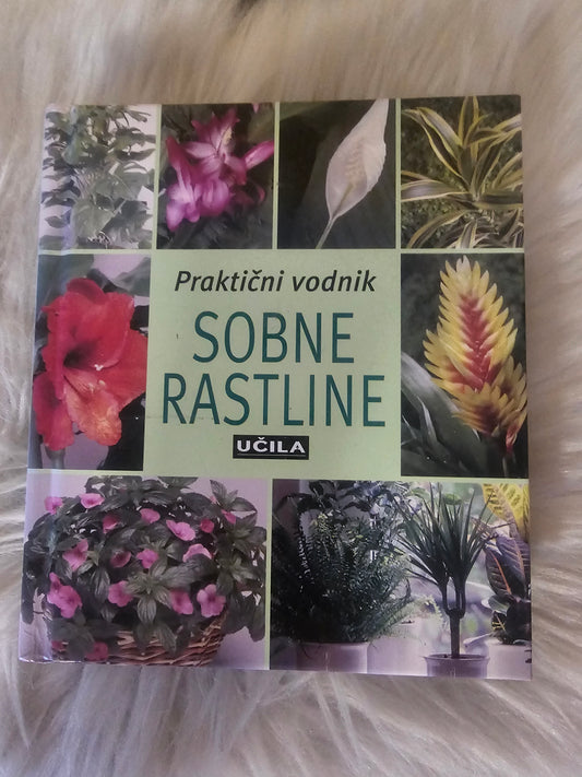 Sobne rastline Učila