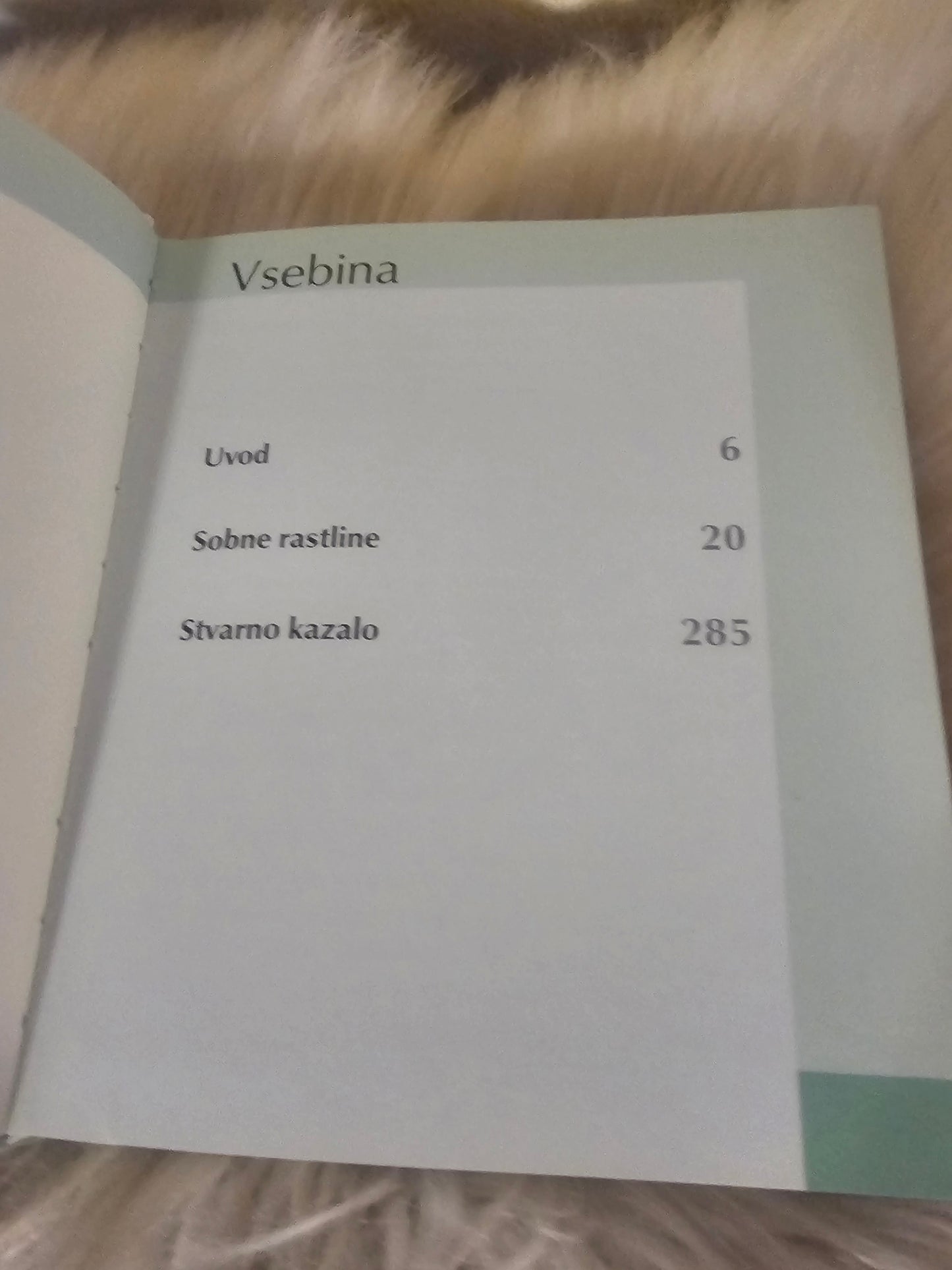 Sobne rastline Učila