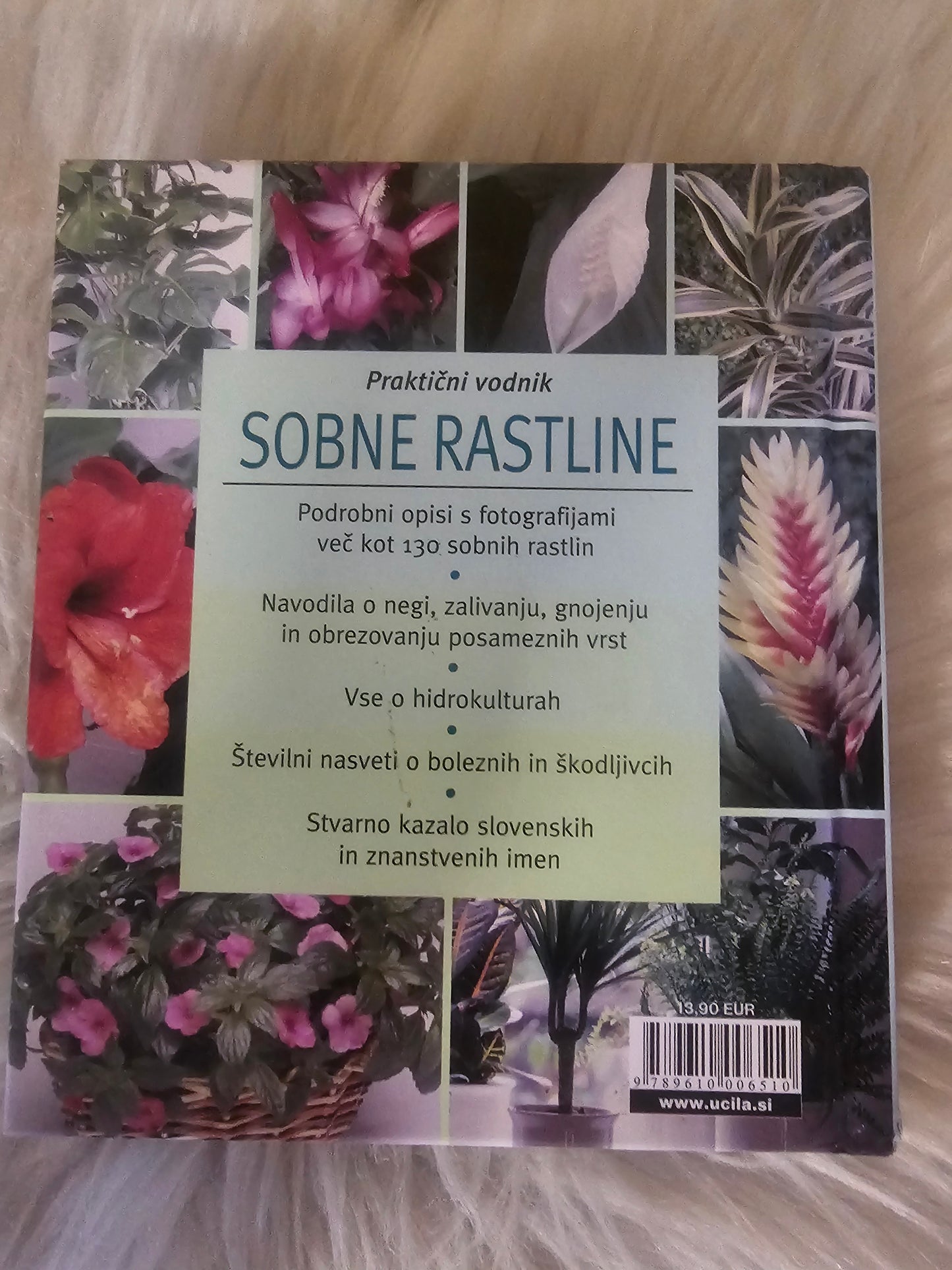 Sobne rastline Učila