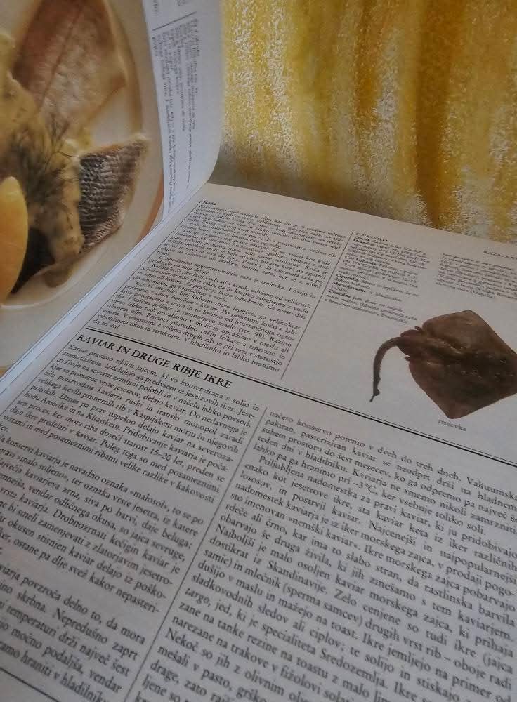 Velika šola kuhinja Anne Willian