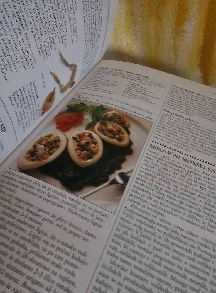 Velika šola kuhinja Anne Willian