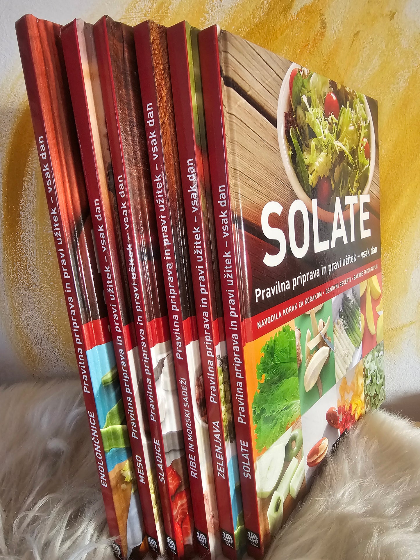 Meso, enolončnice, zelenjava, ribe,  solata, sladice Učila