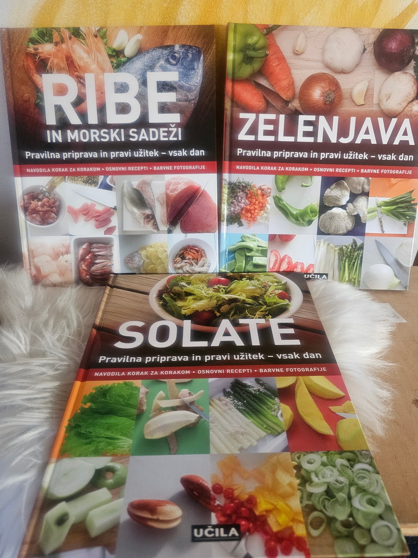 Meso, enolončnice, zelenjava, ribe,  solata, sladice Učila