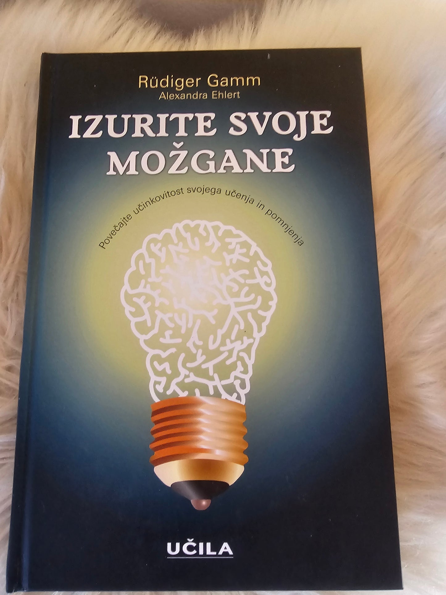 Izurite svoje možgane, Rüdigef Gamm