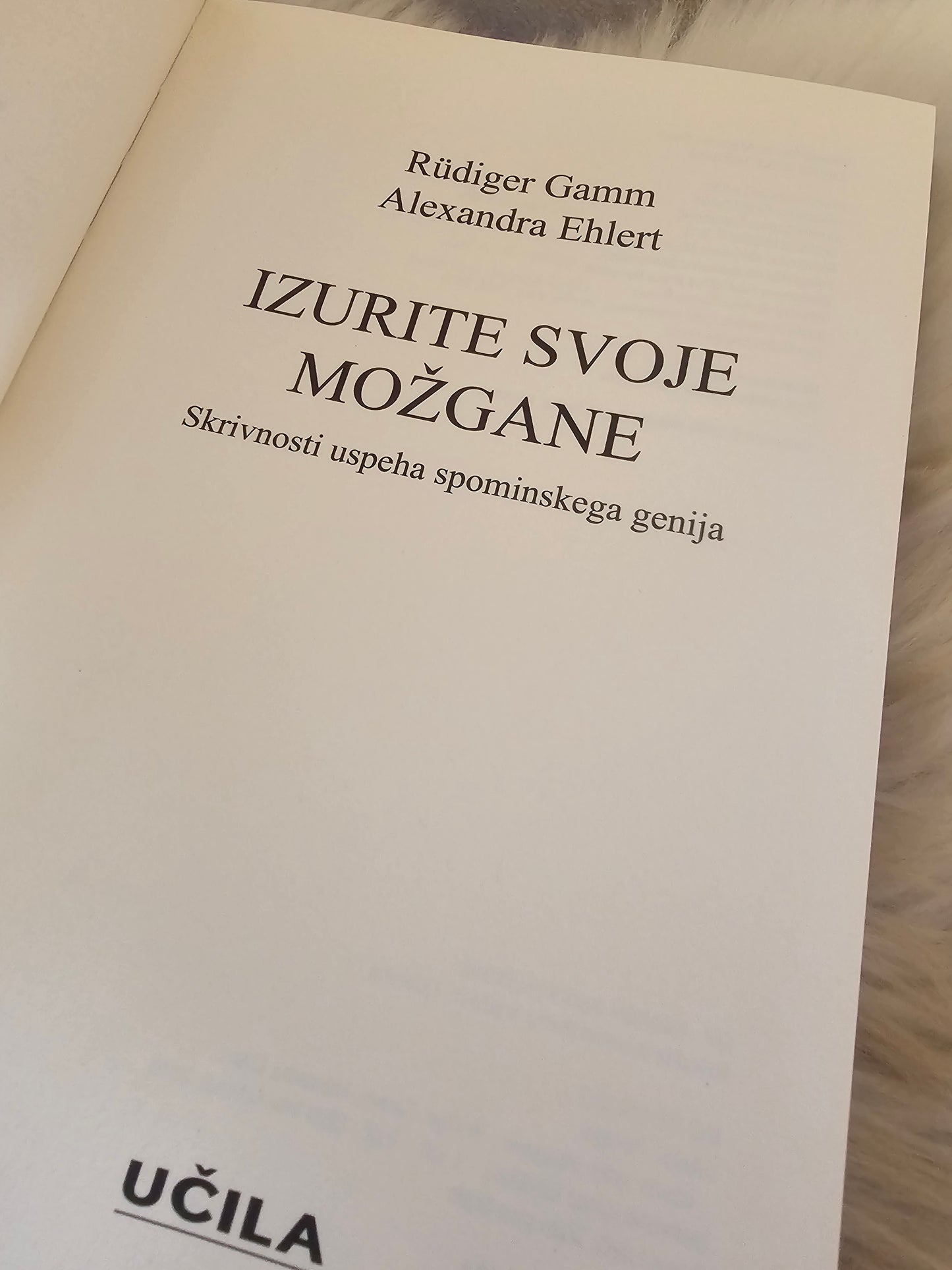 Izurite svoje možgane, Rüdigef Gamm