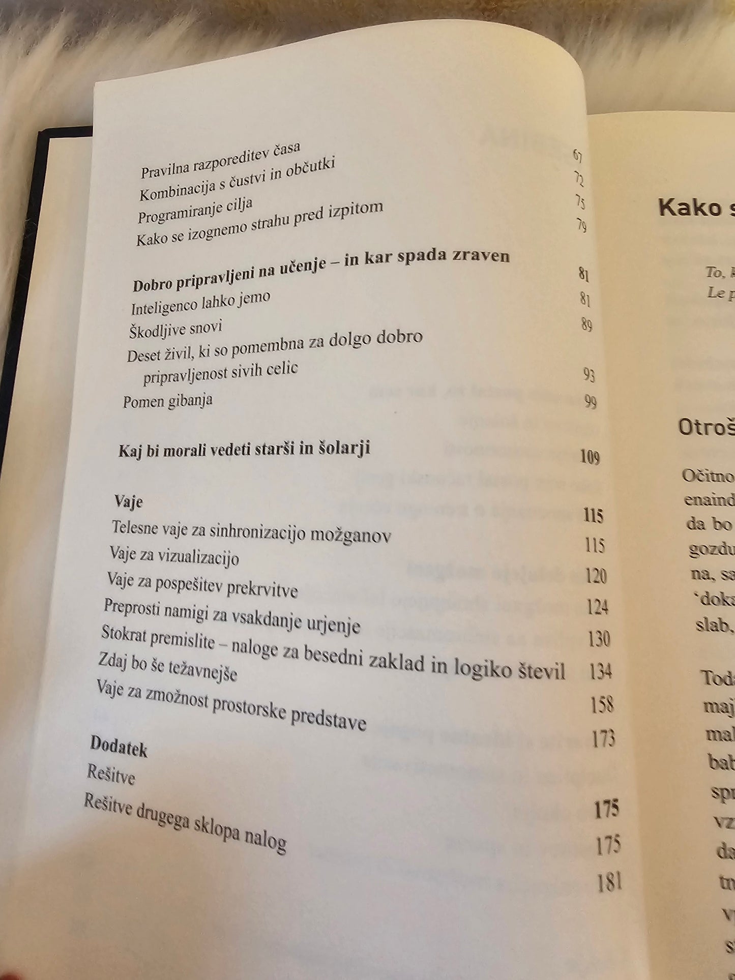 Izurite svoje možgane, Rüdigef Gamm