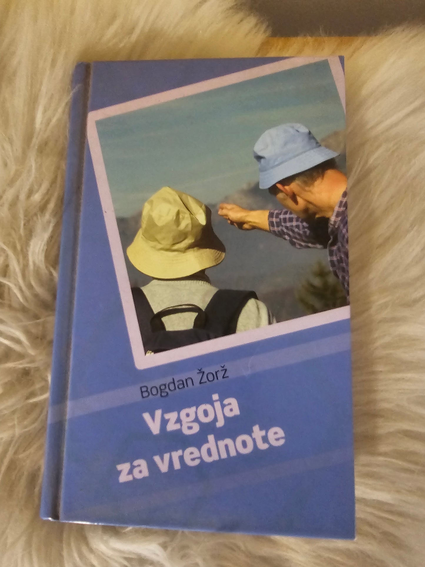 Vzgoja za vrednote  Bogdan Žorž