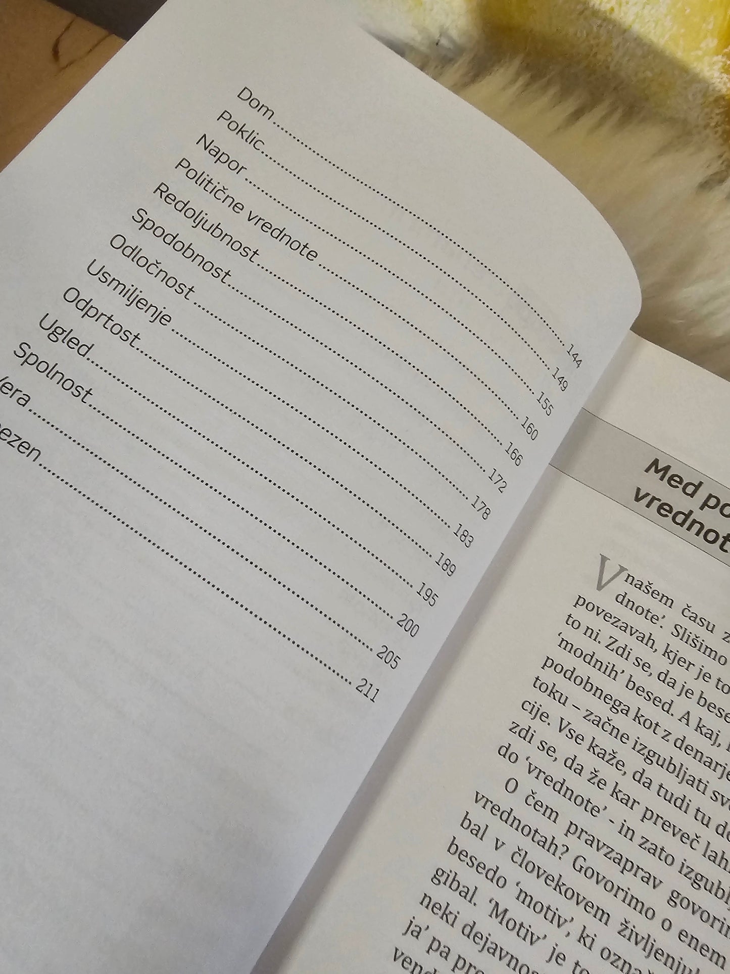 Vzgoja za vrednote  Bogdan Žorž