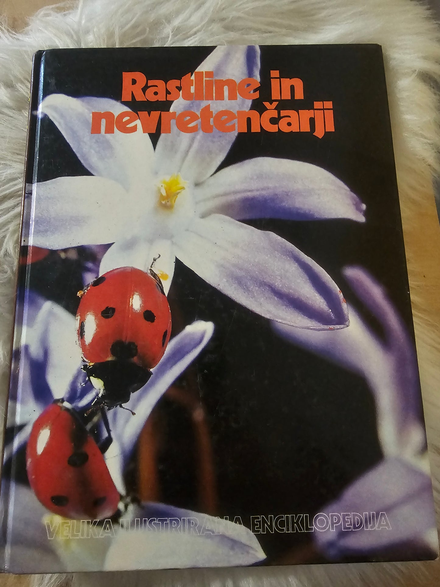 Rastline in neretenčarji  Velika ilustrirana enciklopedija Mladinska knjiga