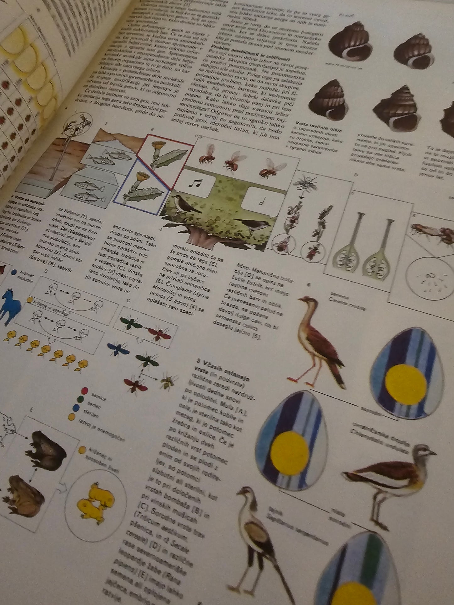 Rastline in neretenčarji  Velika ilustrirana enciklopedija Mladinska knjiga